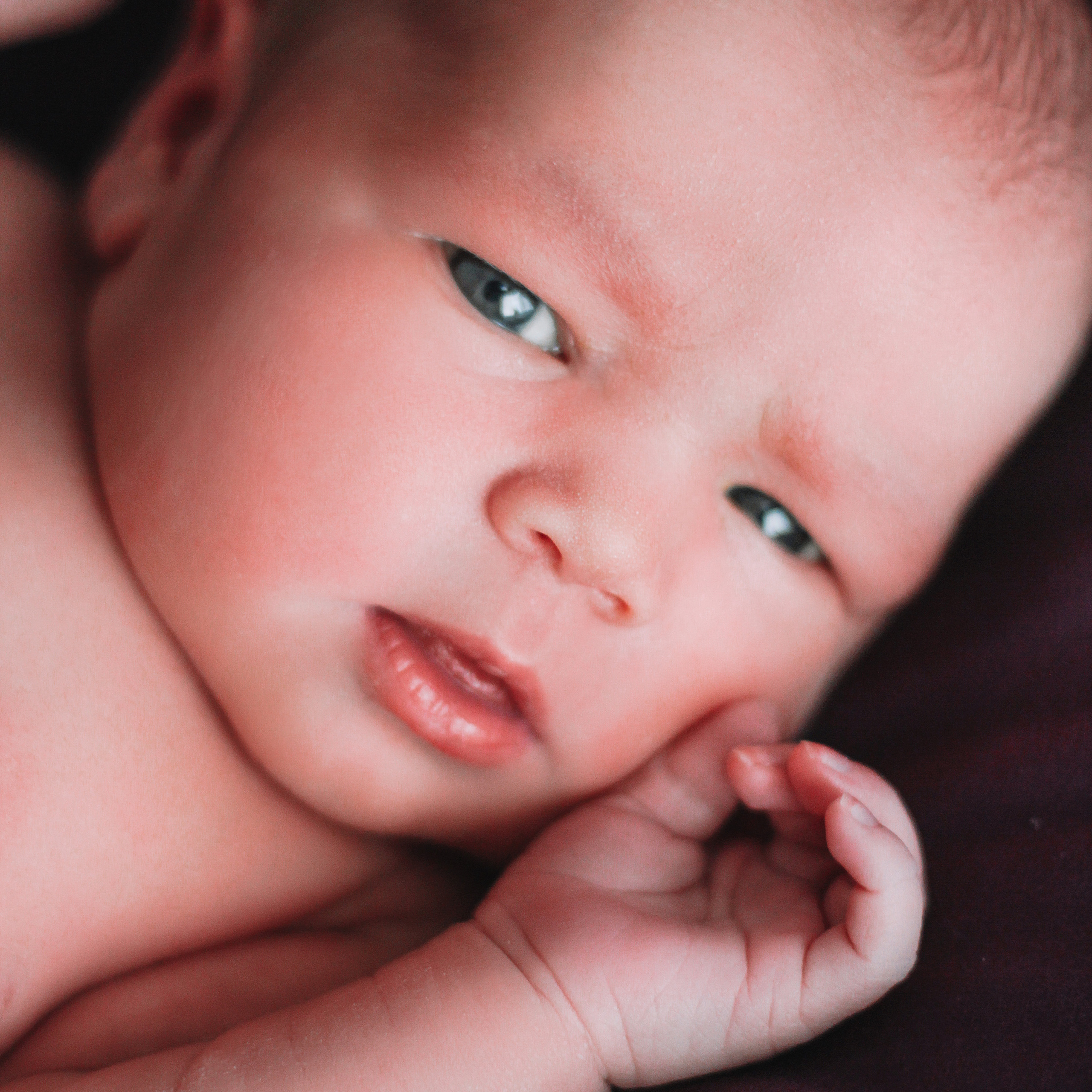 Мия. Lapeelapki | ФОТОГРАФИРУЮ СЧАСТЬЕ