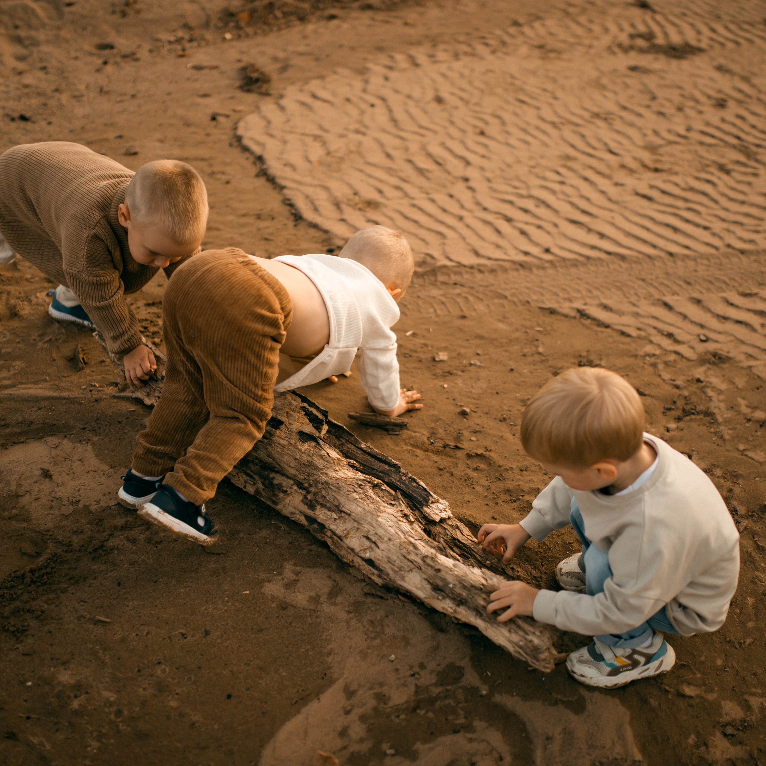 Теплая осень. Lapeelapki | ФОТОГРАФИРУЮ СЧАСТЬЕ