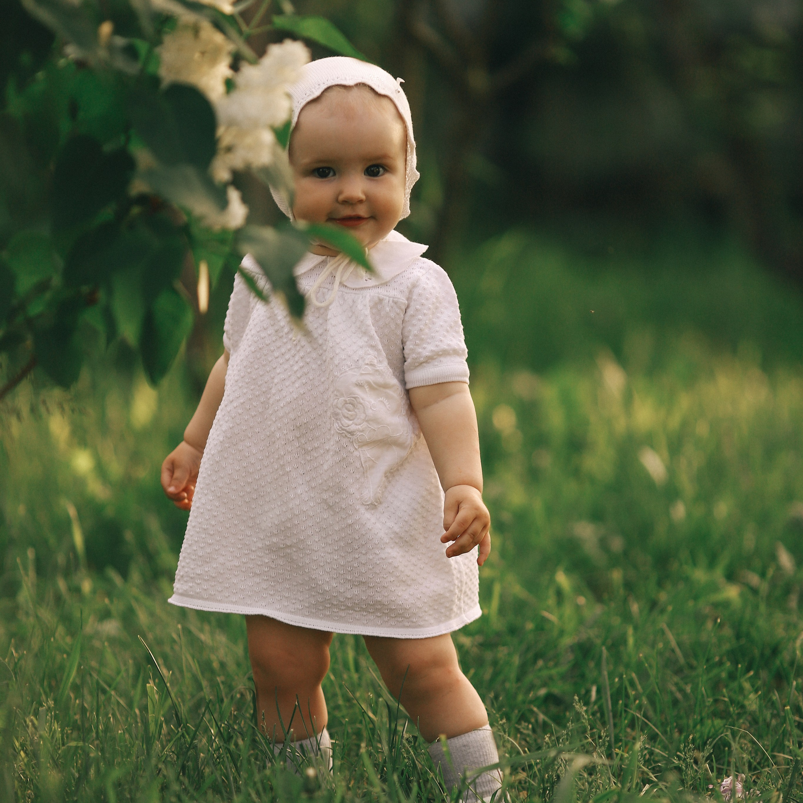 Пушистая сирень. Lapeelapki | ФОТОГРАФИРУЮ СЧАСТЬЕ