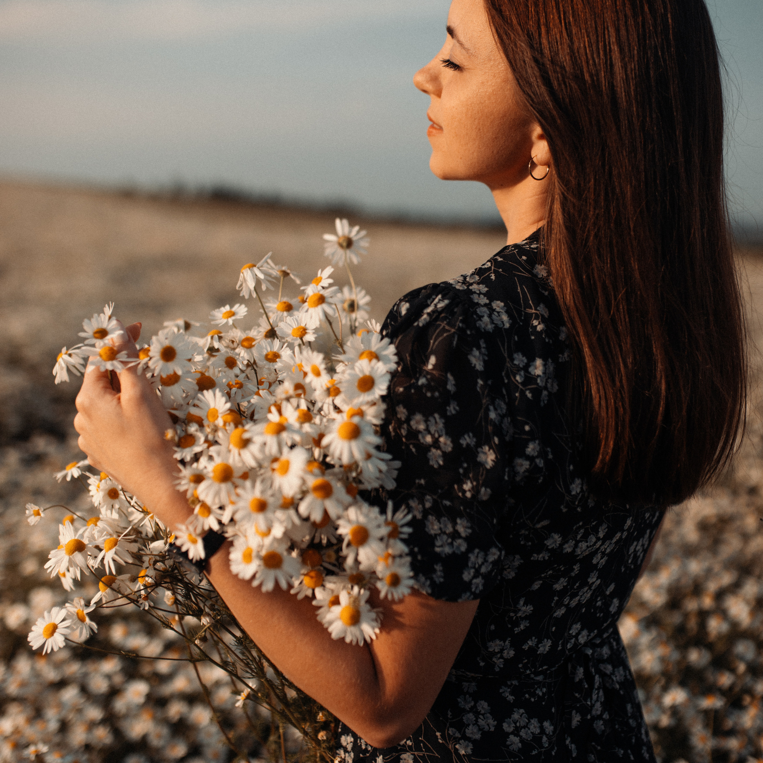 Ромашки. Lapeelapki | ФОТОГРАФИРУЮ СЧАСТЬЕ