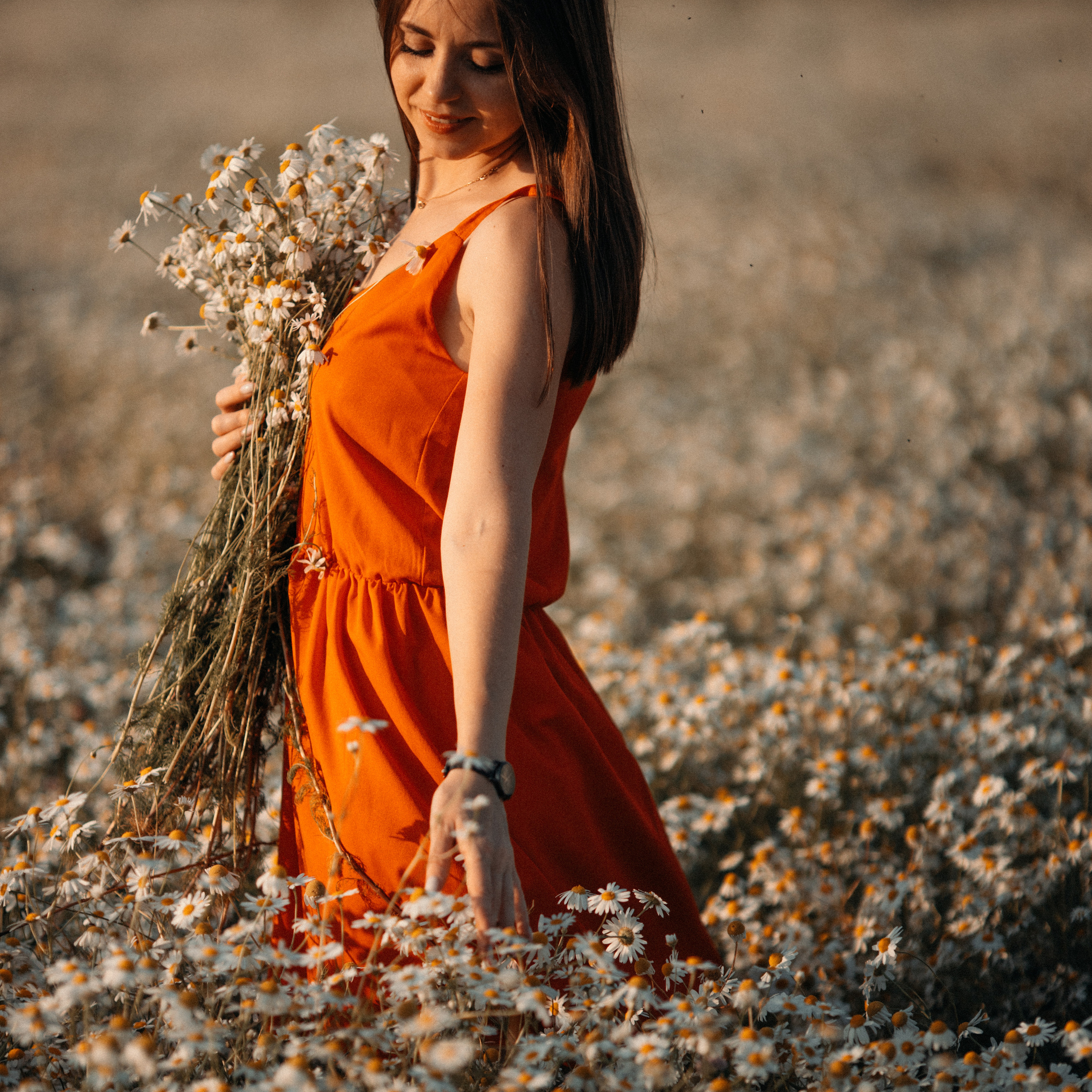 Ромашки. Lapeelapki | ФОТОГРАФИРУЮ СЧАСТЬЕ