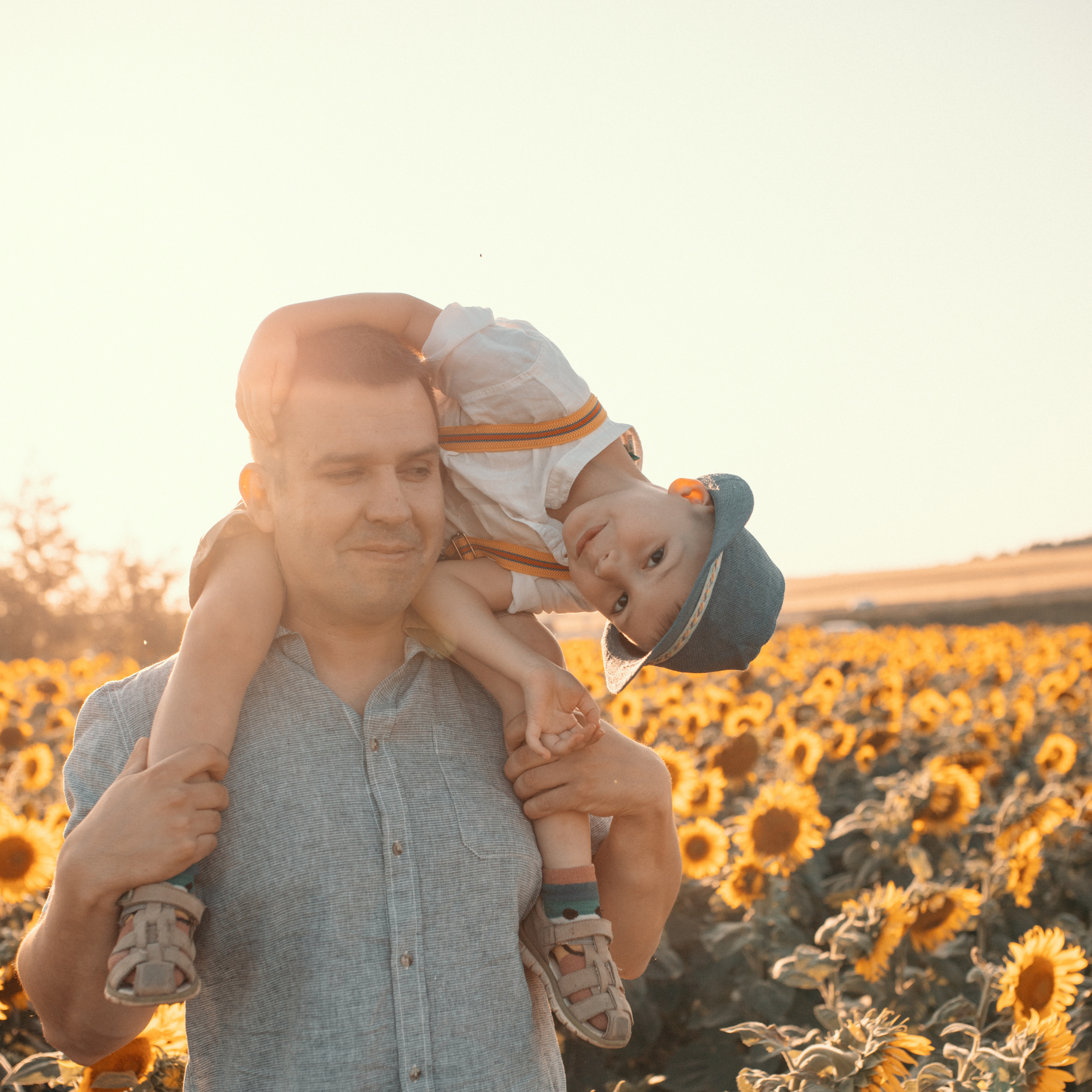 Подсолнухи. Lapeelapki | ФОТОГРАФИРУЮ СЧАСТЬЕ