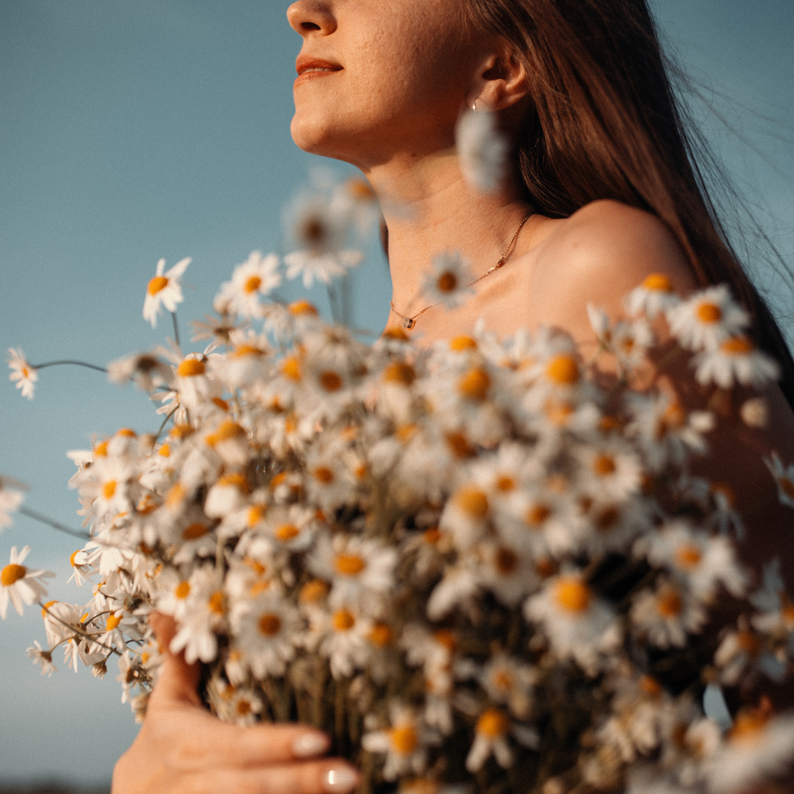 Ромашки. Lapeelapki | ФОТОГРАФИРУЮ СЧАСТЬЕ