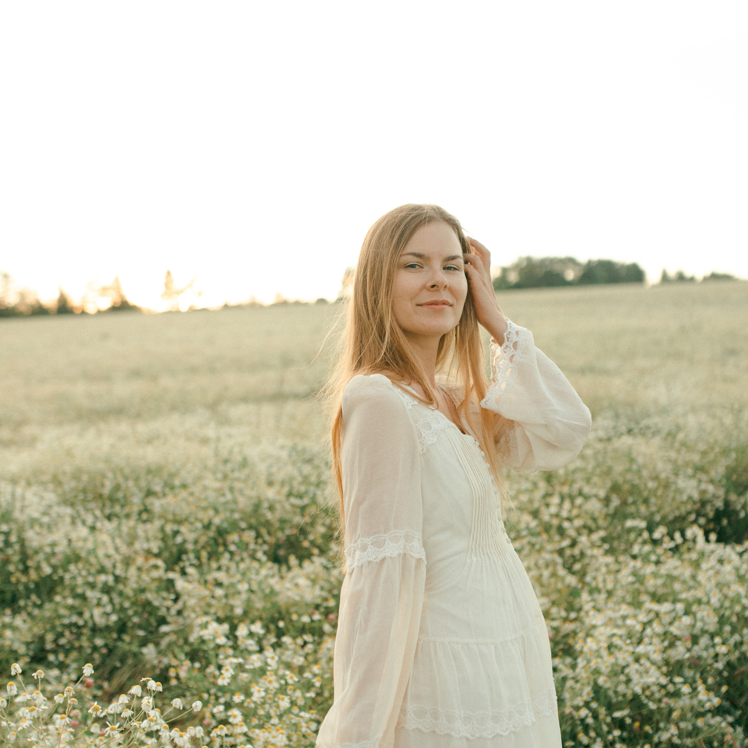 Ромашки. Lapeelapki | ФОТОГРАФИРУЮ СЧАСТЬЕ