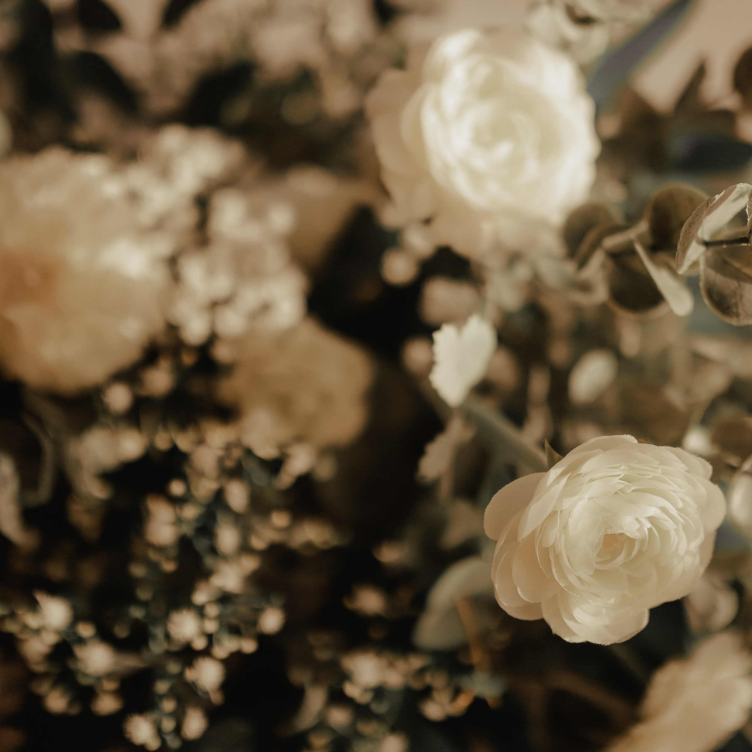 Марина и Тимофей. Lapeelapki | ФОТОГРАФИРУЮ СЧАСТЬЕ