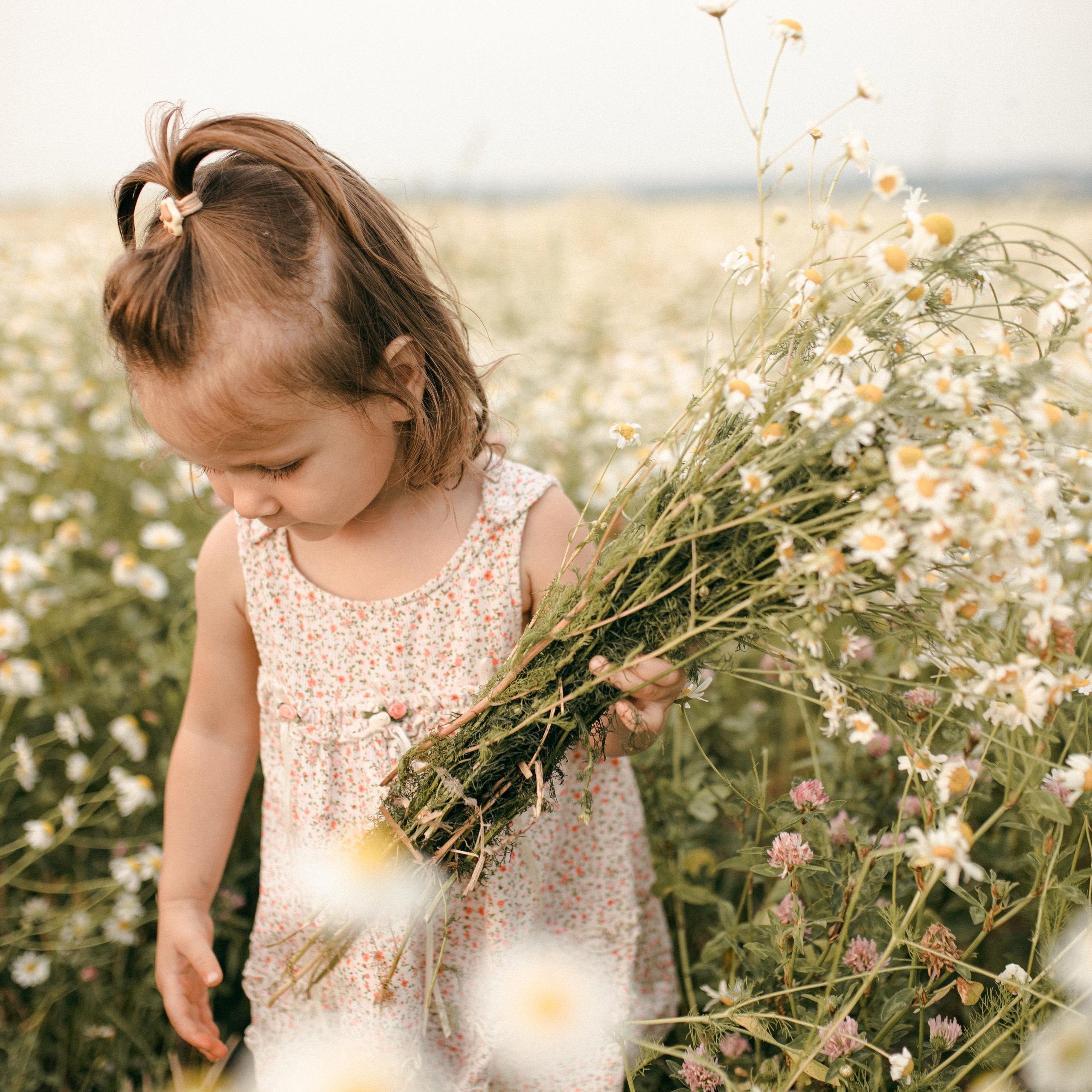 Геворкян. Lapeelapki | ФОТОГРАФИРУЮ СЧАСТЬЕ