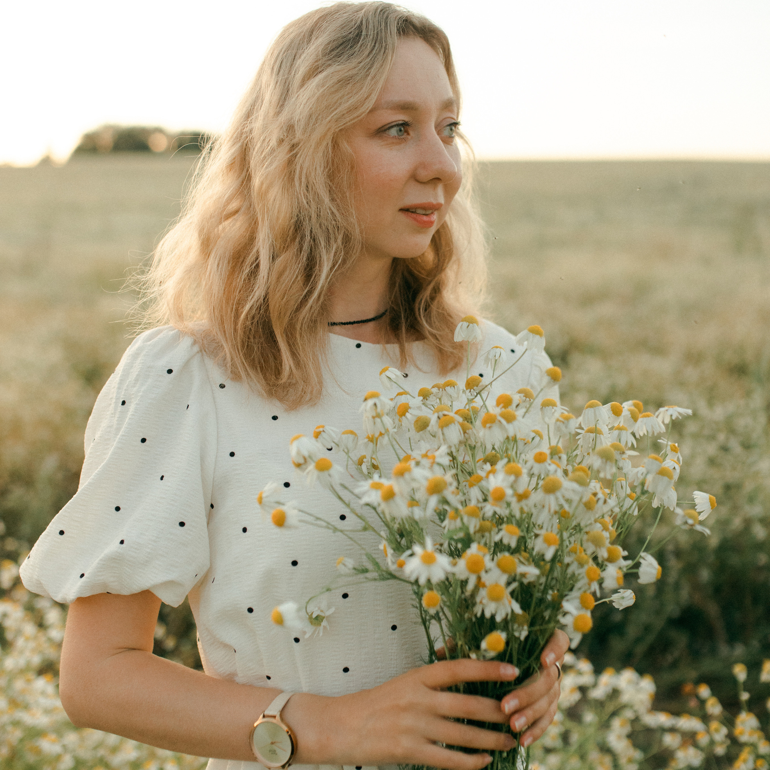 Ромашки. Lapeelapki | ФОТОГРАФИРУЮ СЧАСТЬЕ