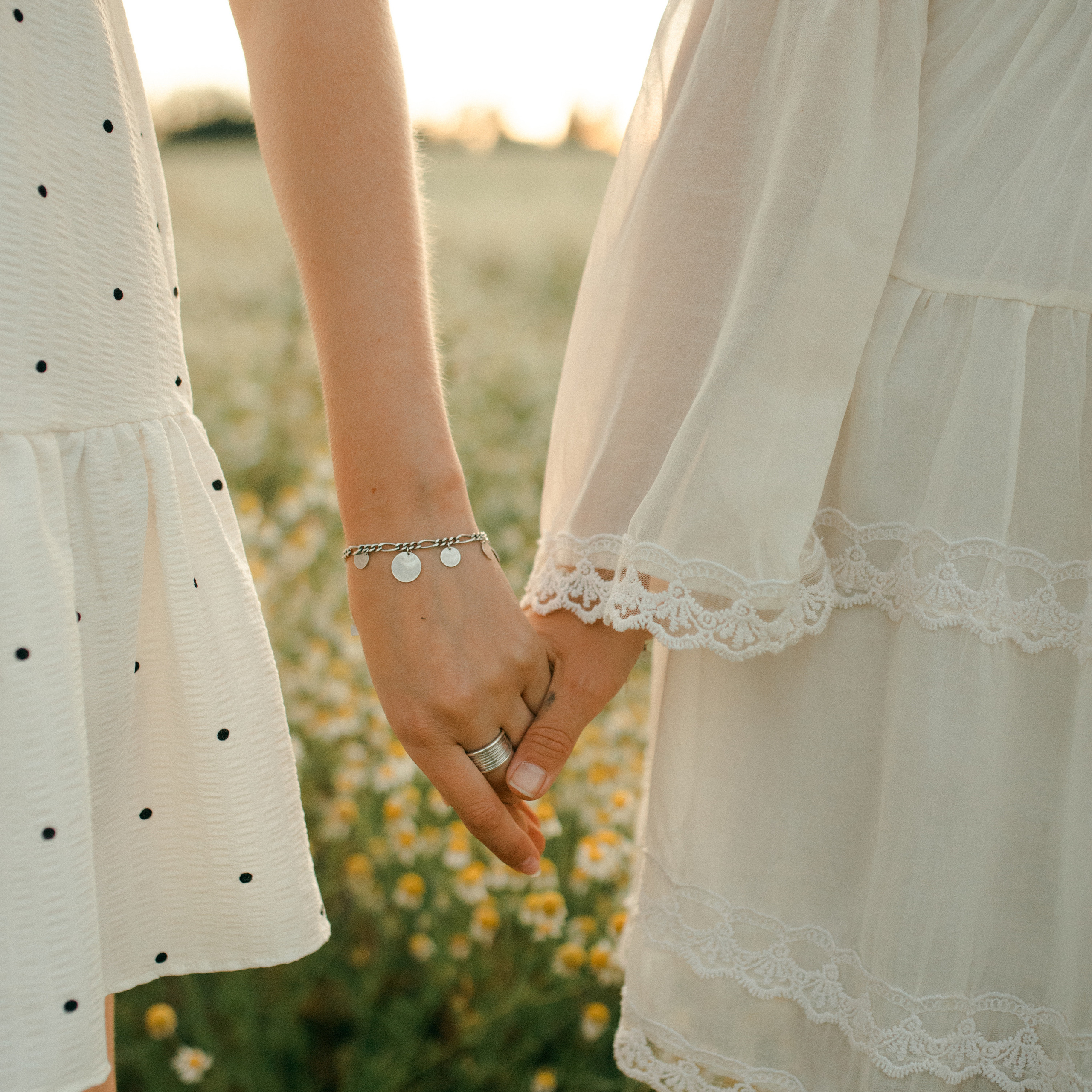 Ромашки. Lapeelapki | ФОТОГРАФИРУЮ СЧАСТЬЕ