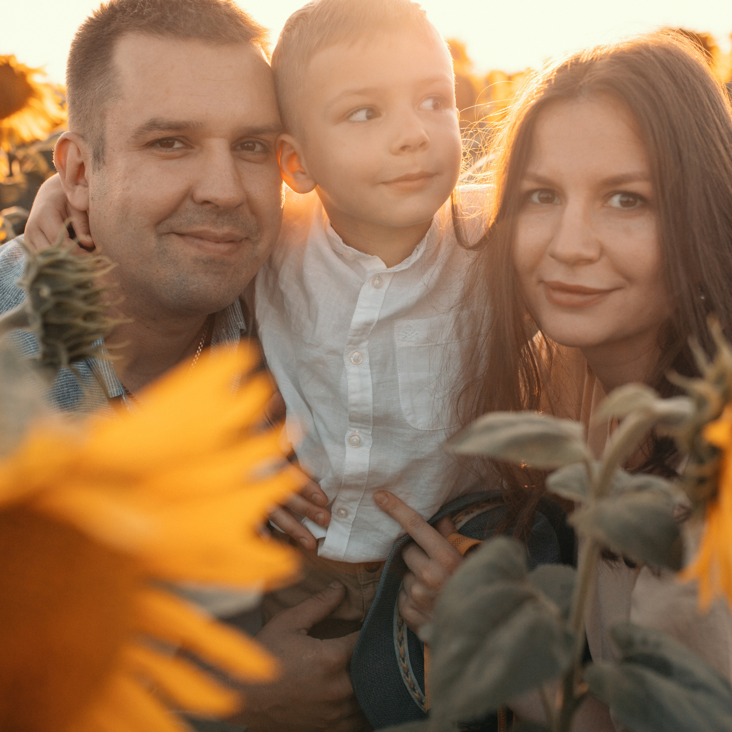 Подсолнухи. Lapeelapki | ФОТОГРАФИРУЮ СЧАСТЬЕ