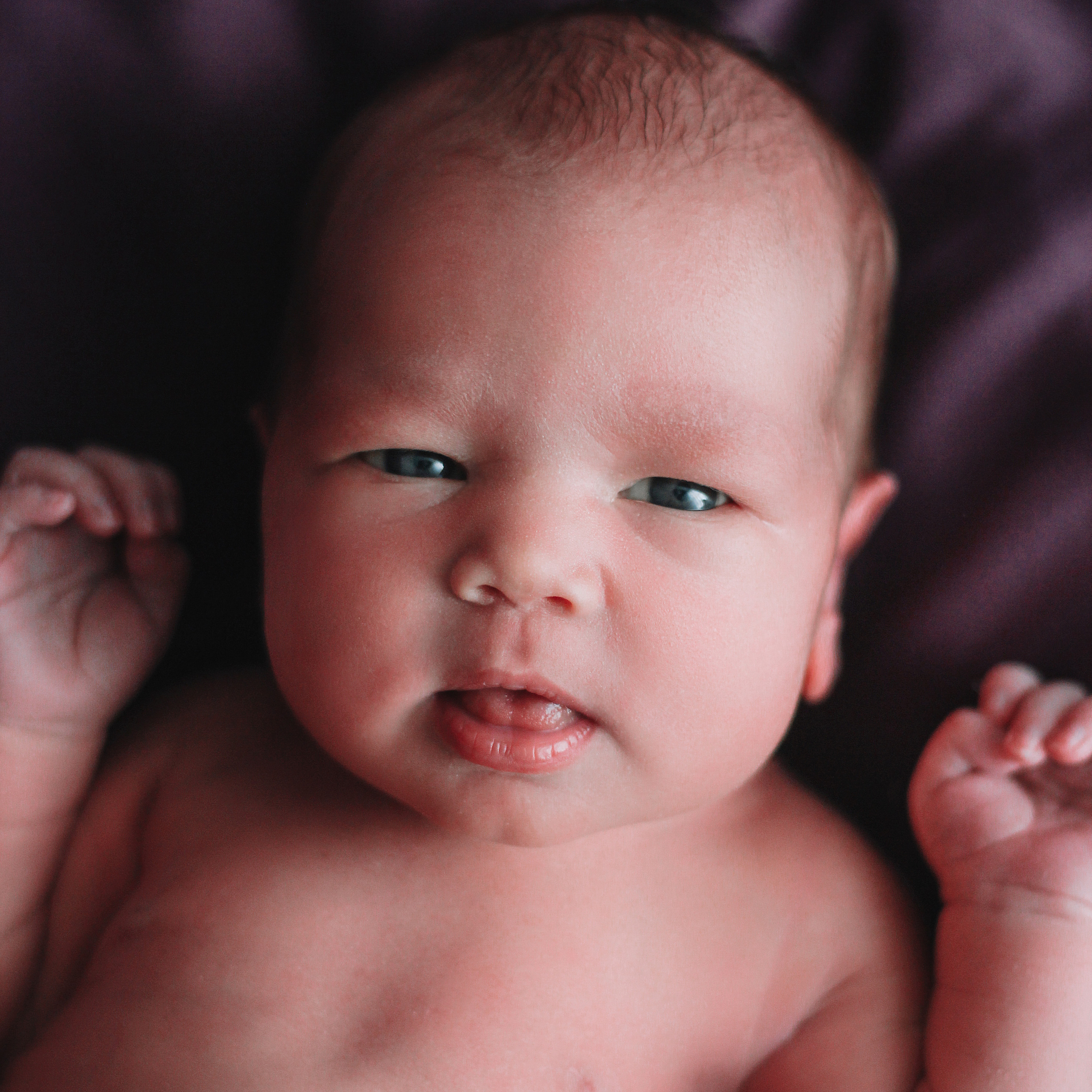 Мия. Lapeelapki | ФОТОГРАФИРУЮ СЧАСТЬЕ