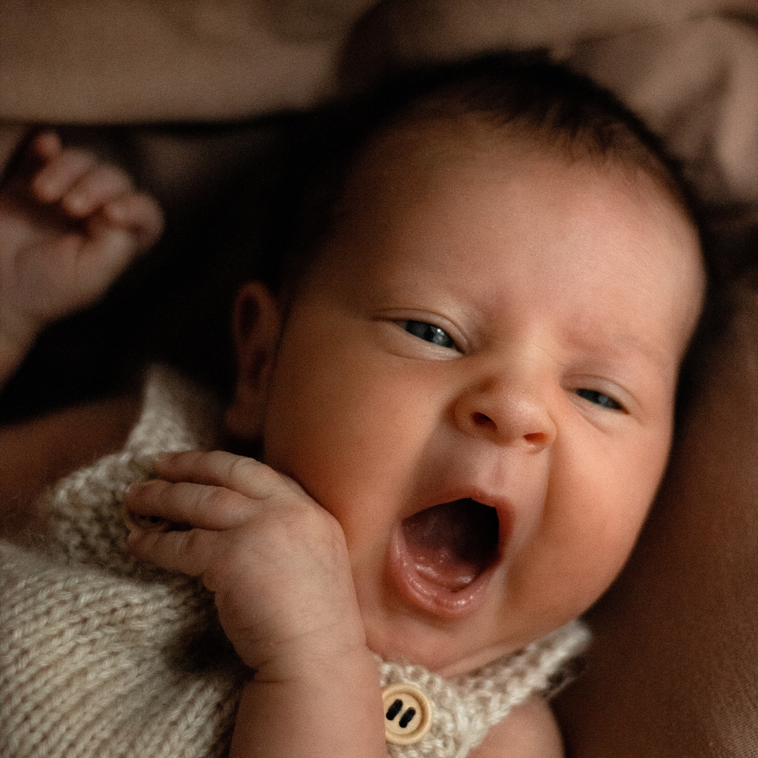 Евангелина. Lapeelapki | ФОТОГРАФИРУЮ СЧАСТЬЕ