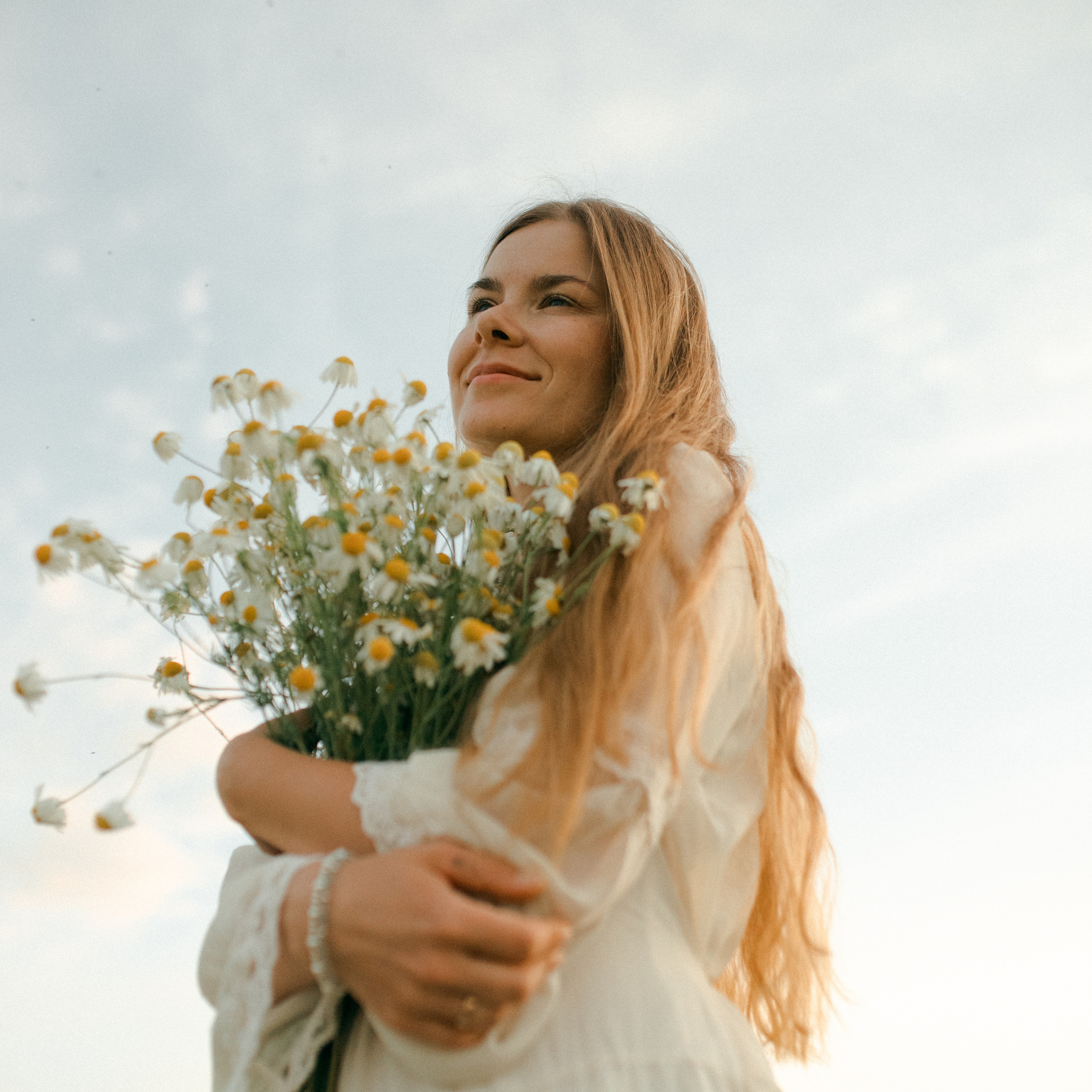 Ромашки. Lapeelapki | ФОТОГРАФИРУЮ СЧАСТЬЕ