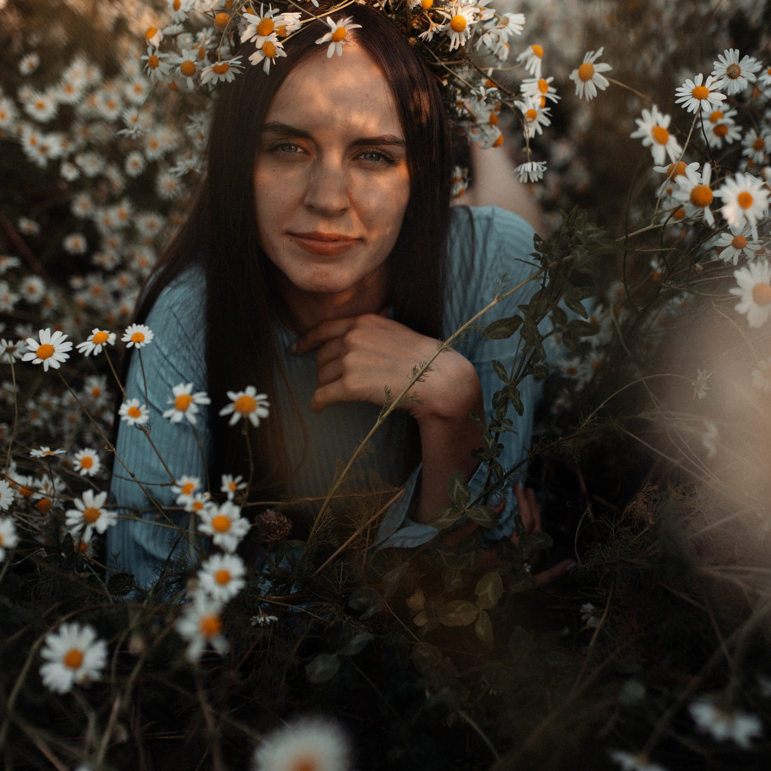 Ромашки. Lapeelapki | ФОТОГРАФИРУЮ СЧАСТЬЕ