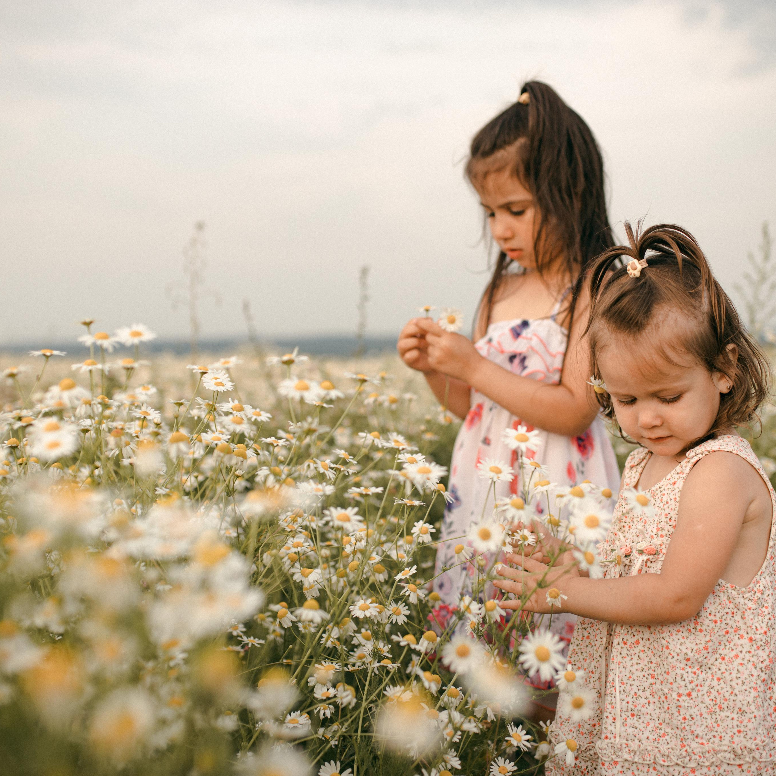 Геворкян. Lapeelapki | ФОТОГРАФИРУЮ СЧАСТЬЕ