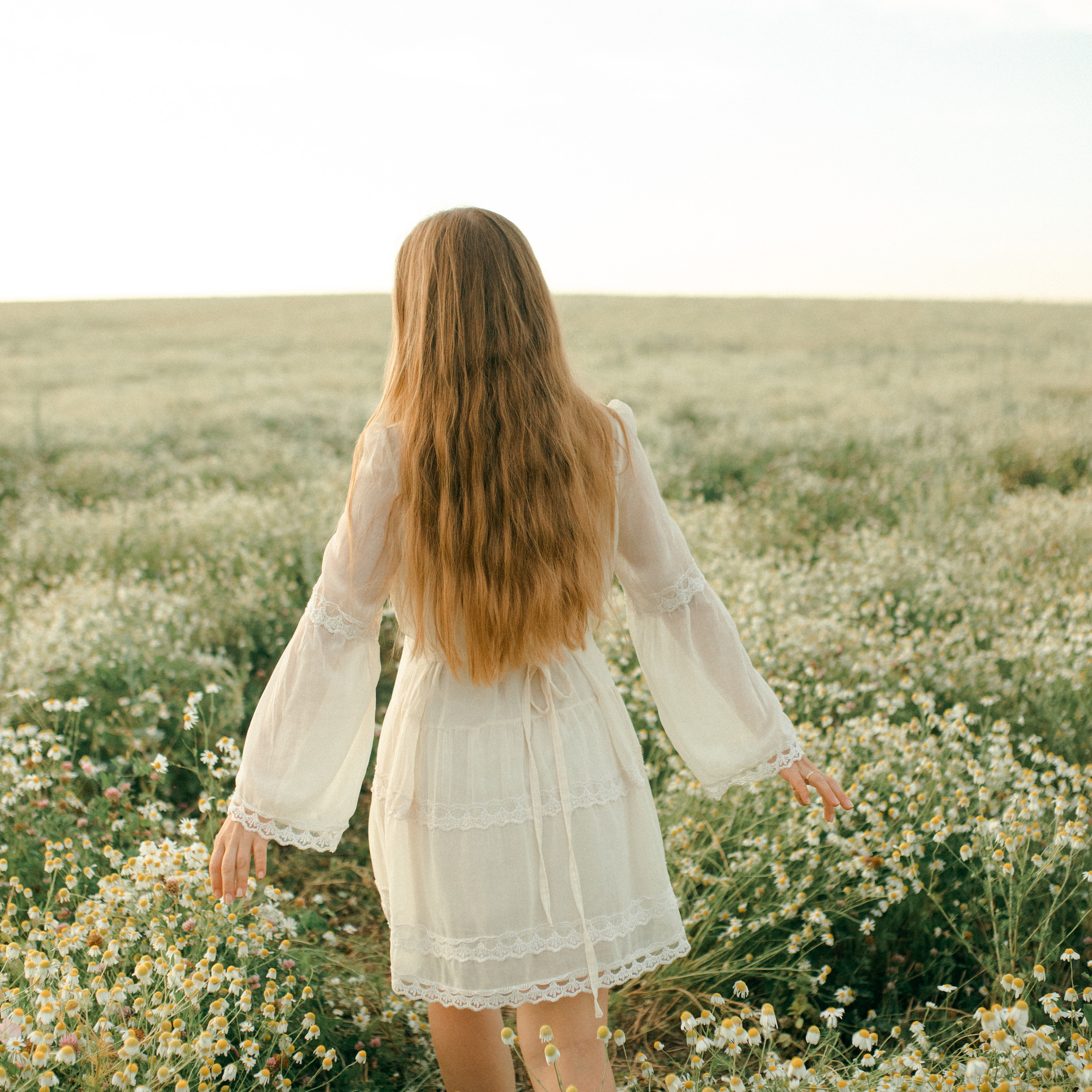 Ромашки. Lapeelapki | ФОТОГРАФИРУЮ СЧАСТЬЕ