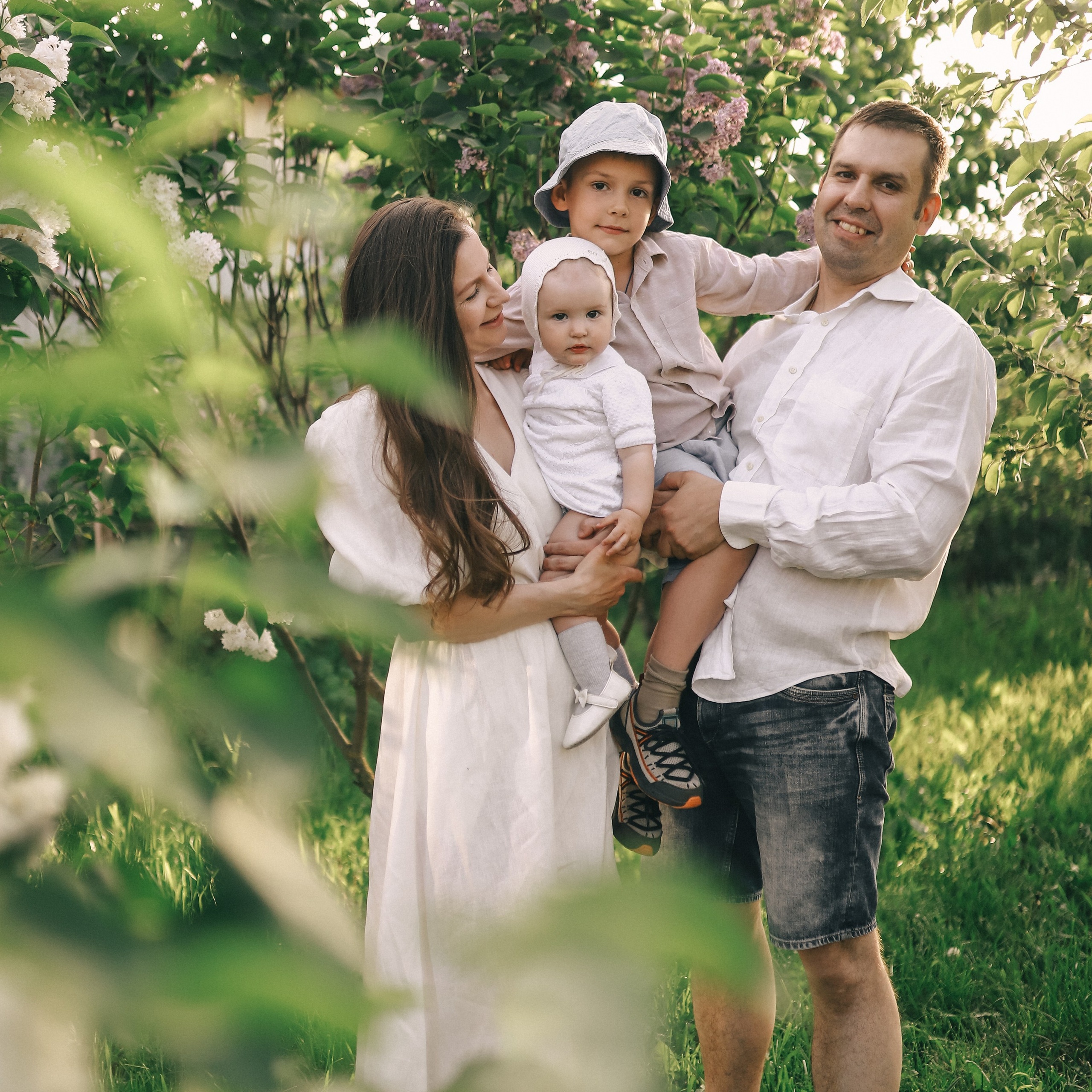 Пушистая сирень