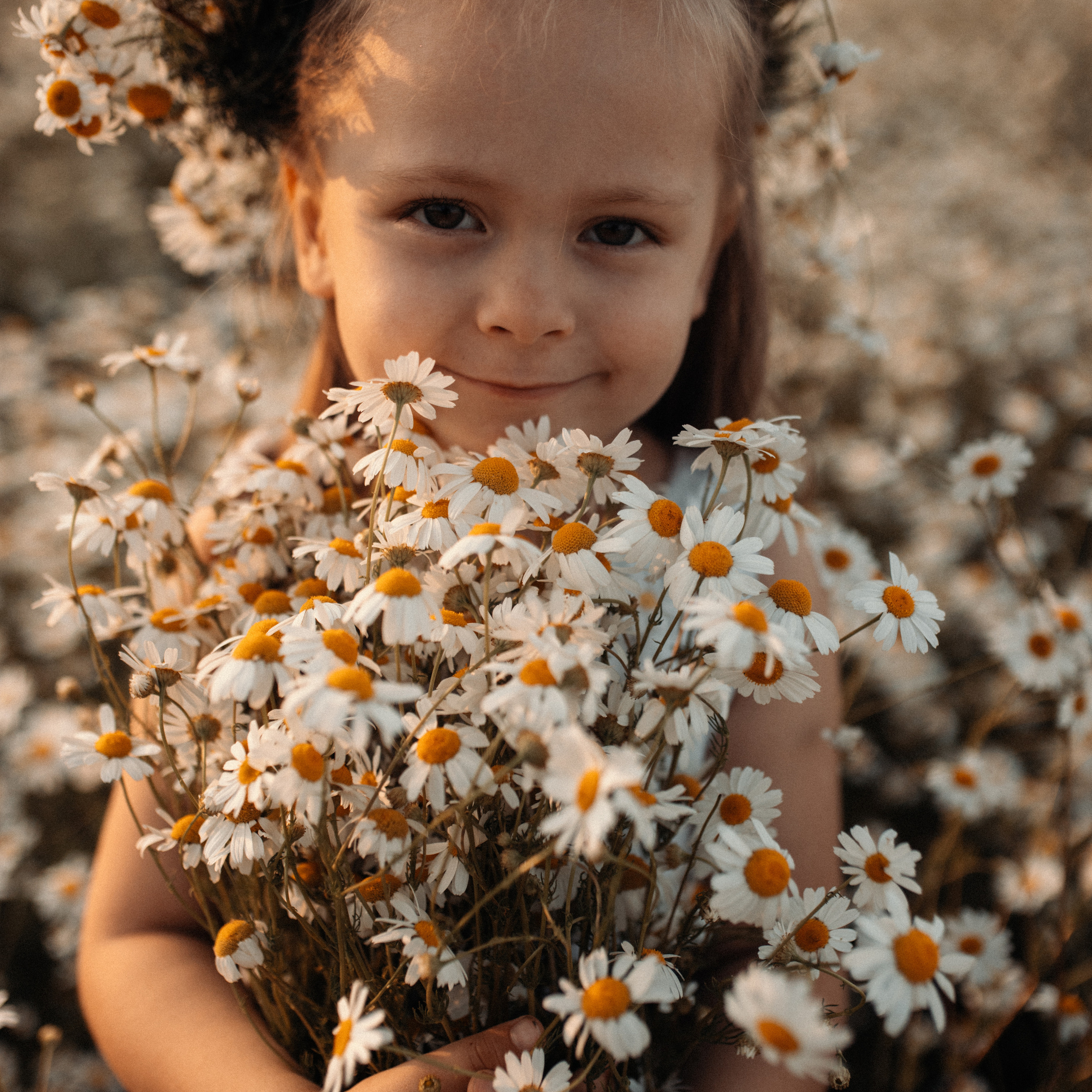 Ромашки. Lapeelapki | ФОТОГРАФИРУЮ СЧАСТЬЕ