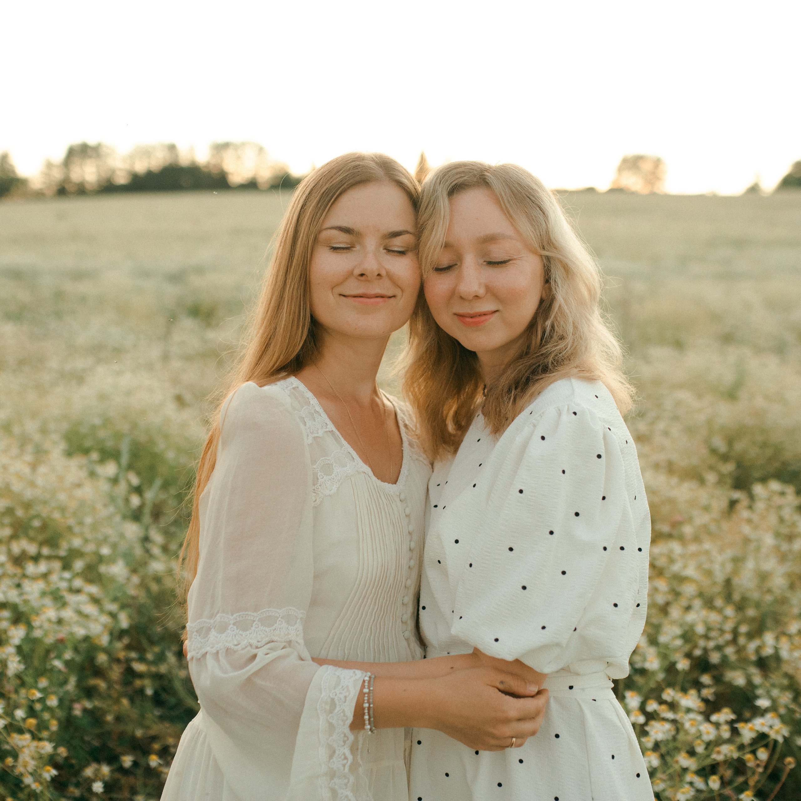 Ромашки. Lapeelapki | ФОТОГРАФИРУЮ СЧАСТЬЕ