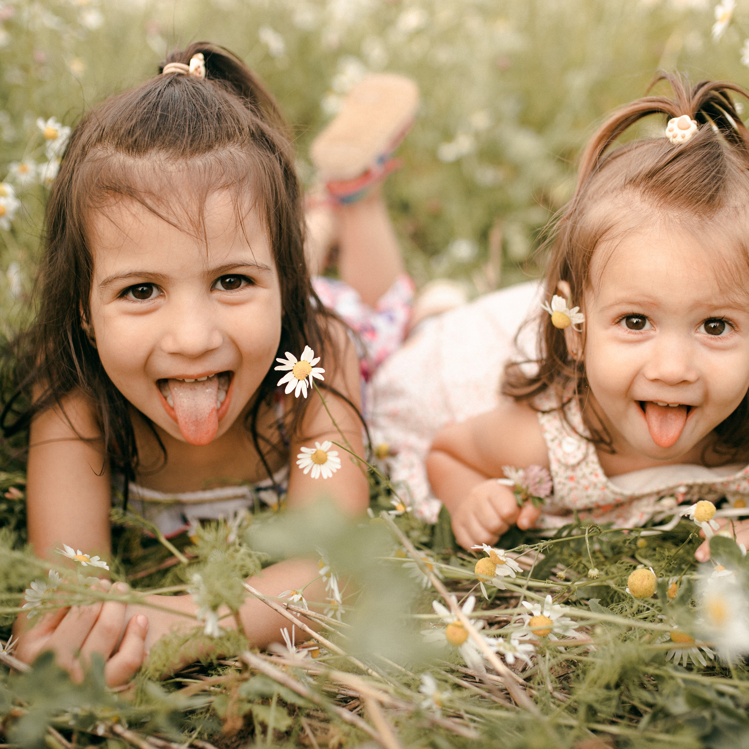 Ромашки. Lapeelapki | ФОТОГРАФИРУЮ СЧАСТЬЕ