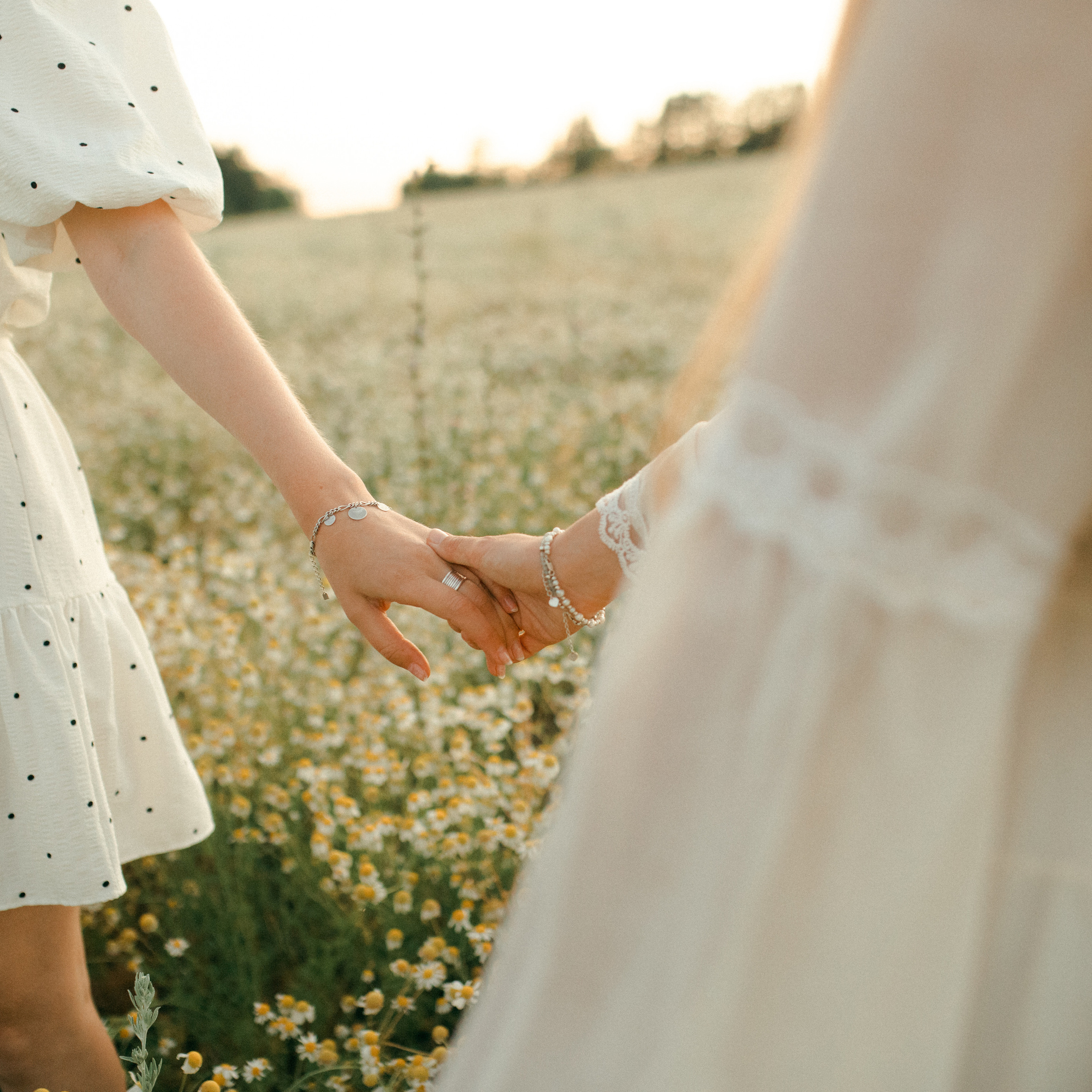 Ромашки. Lapeelapki | ФОТОГРАФИРУЮ СЧАСТЬЕ