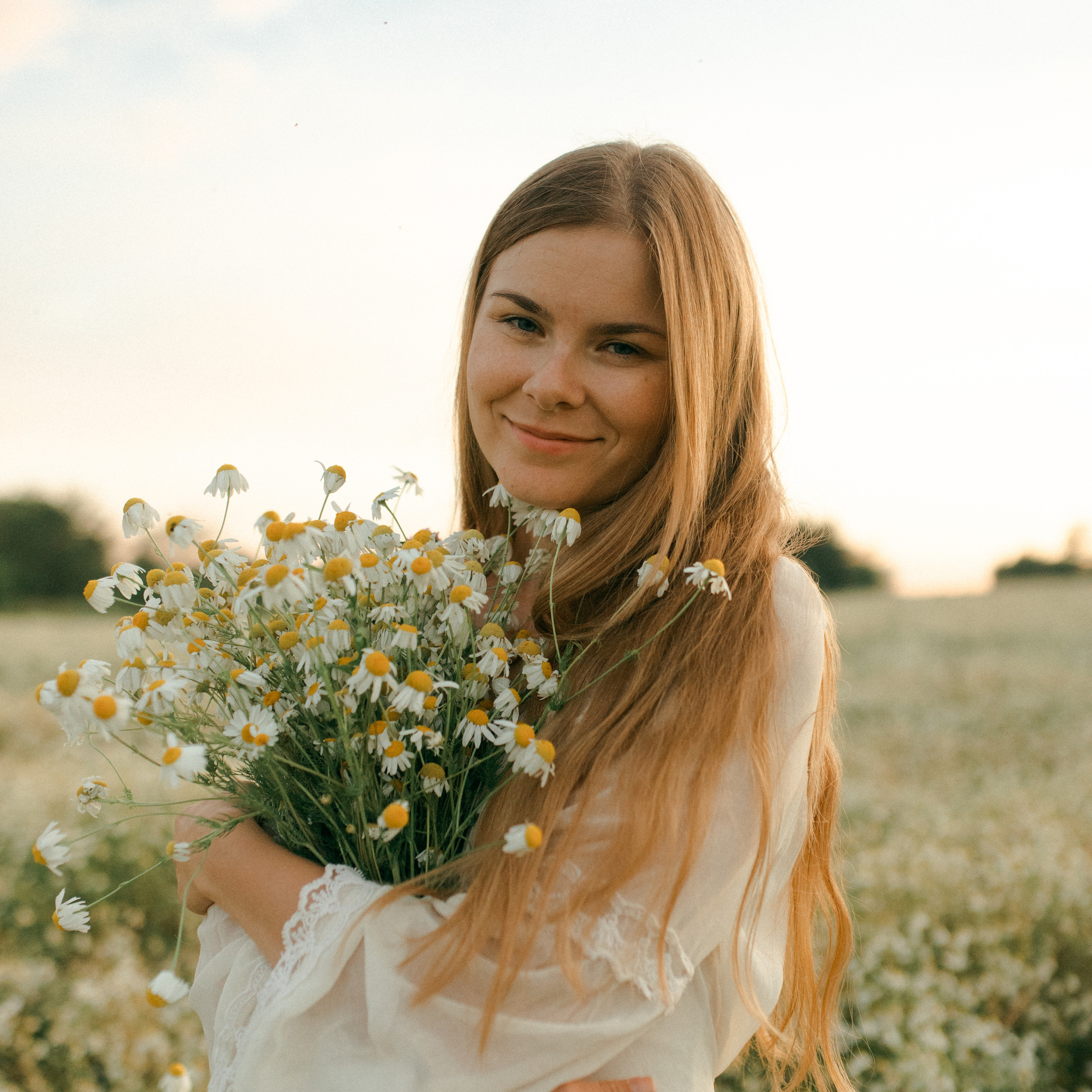 Ромашки. Lapeelapki | ФОТОГРАФИРУЮ СЧАСТЬЕ