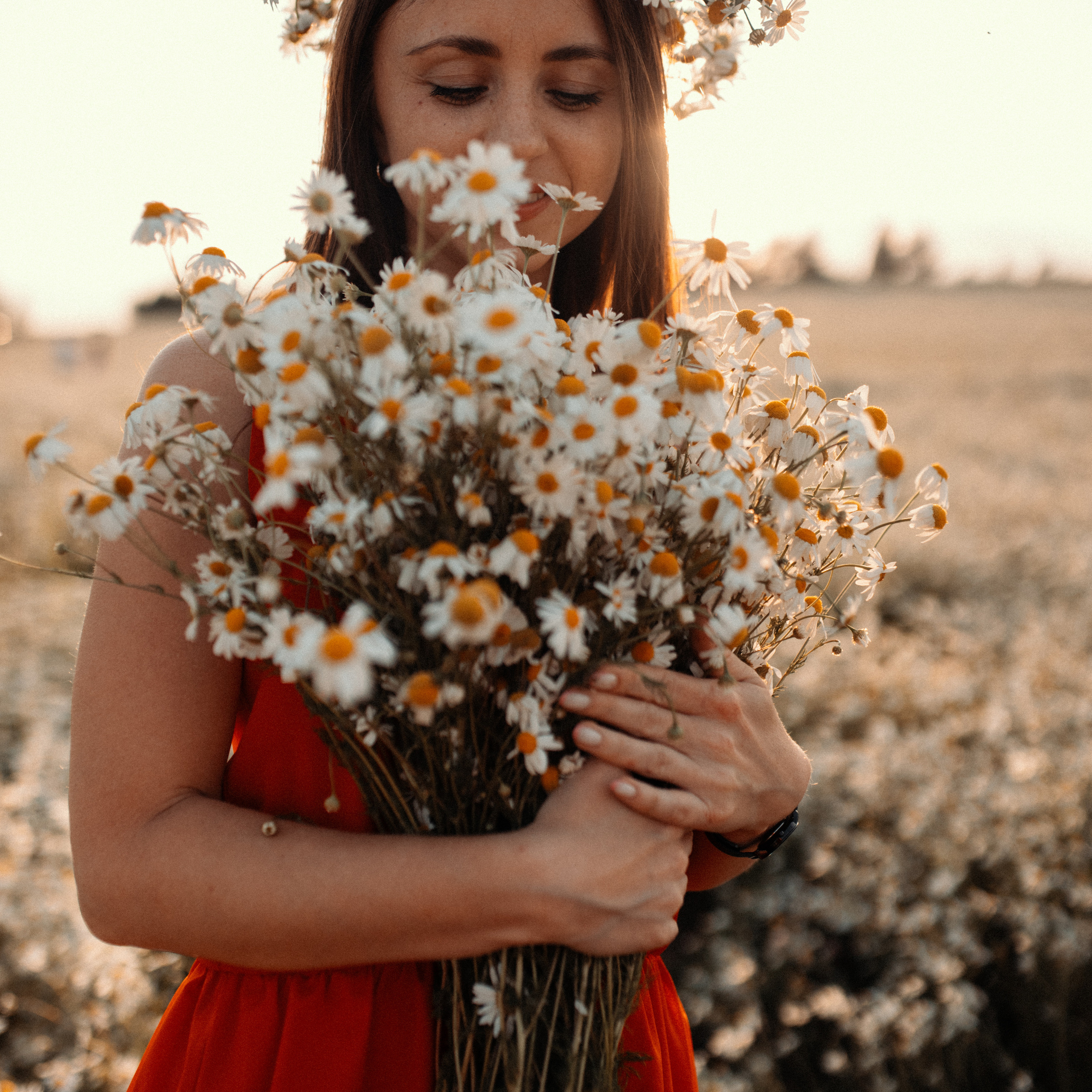 Ромашки. Lapeelapki | ФОТОГРАФИРУЮ СЧАСТЬЕ