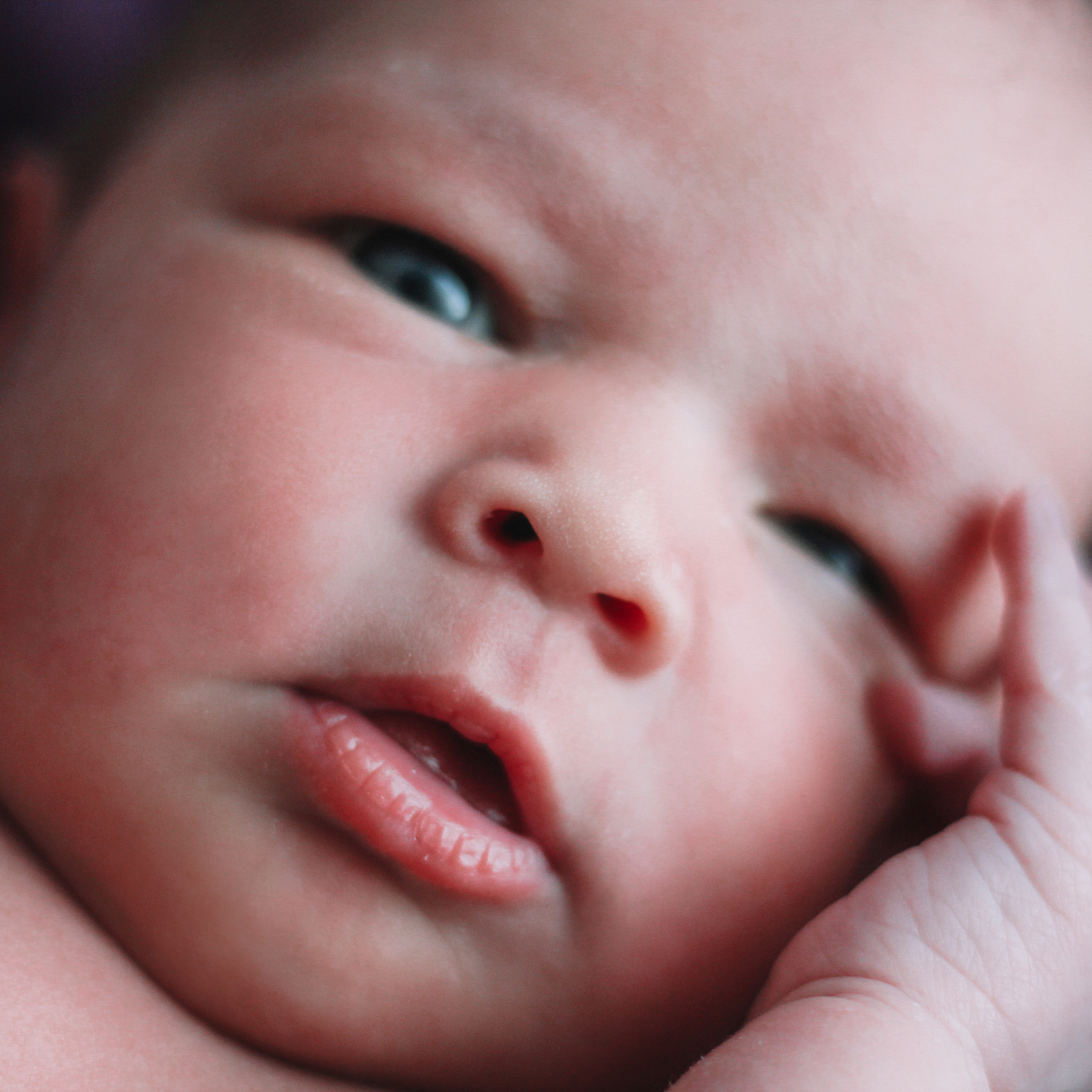 Мия. Lapeelapki | ФОТОГРАФИРУЮ СЧАСТЬЕ