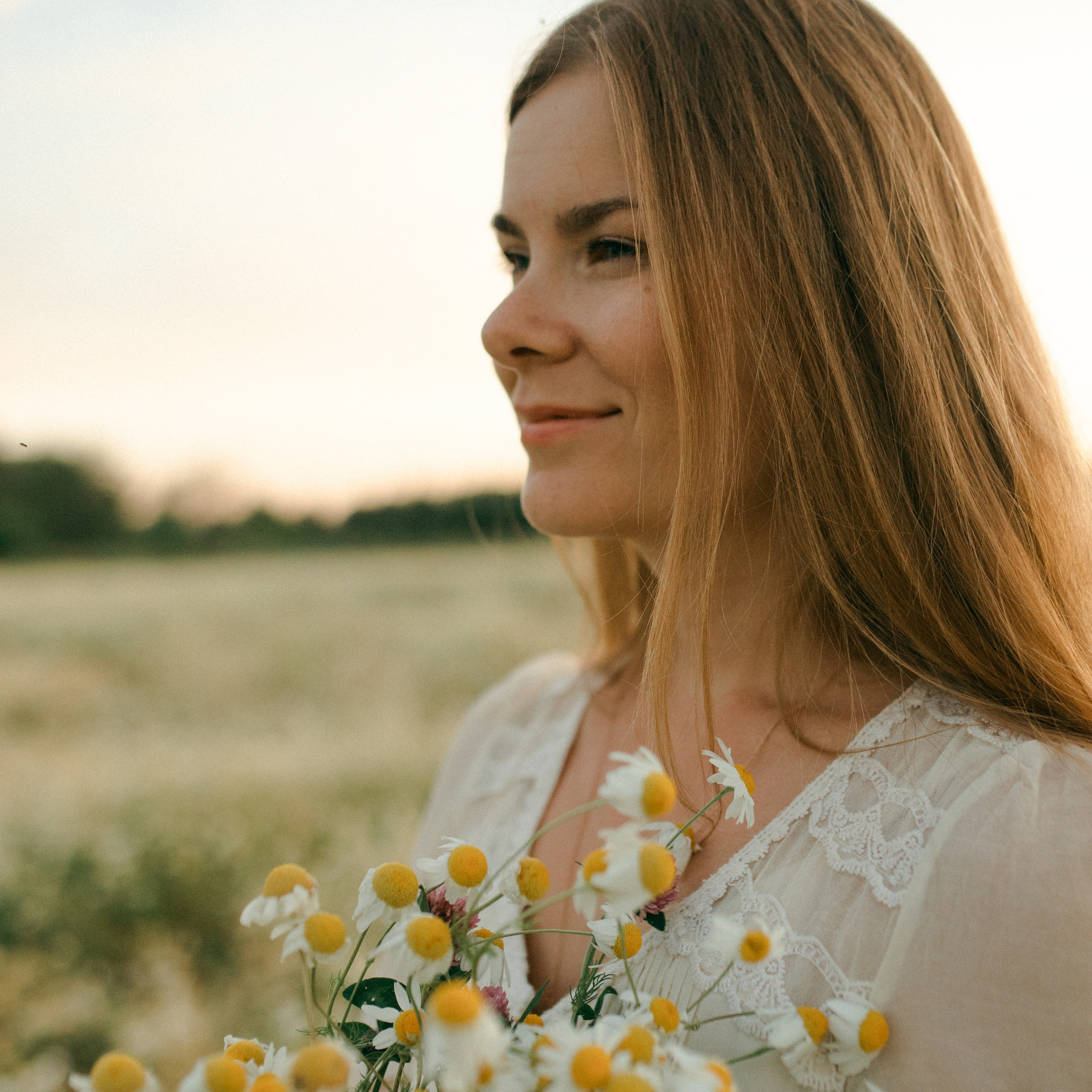 Ромашки. Lapeelapki | ФОТОГРАФИРУЮ СЧАСТЬЕ