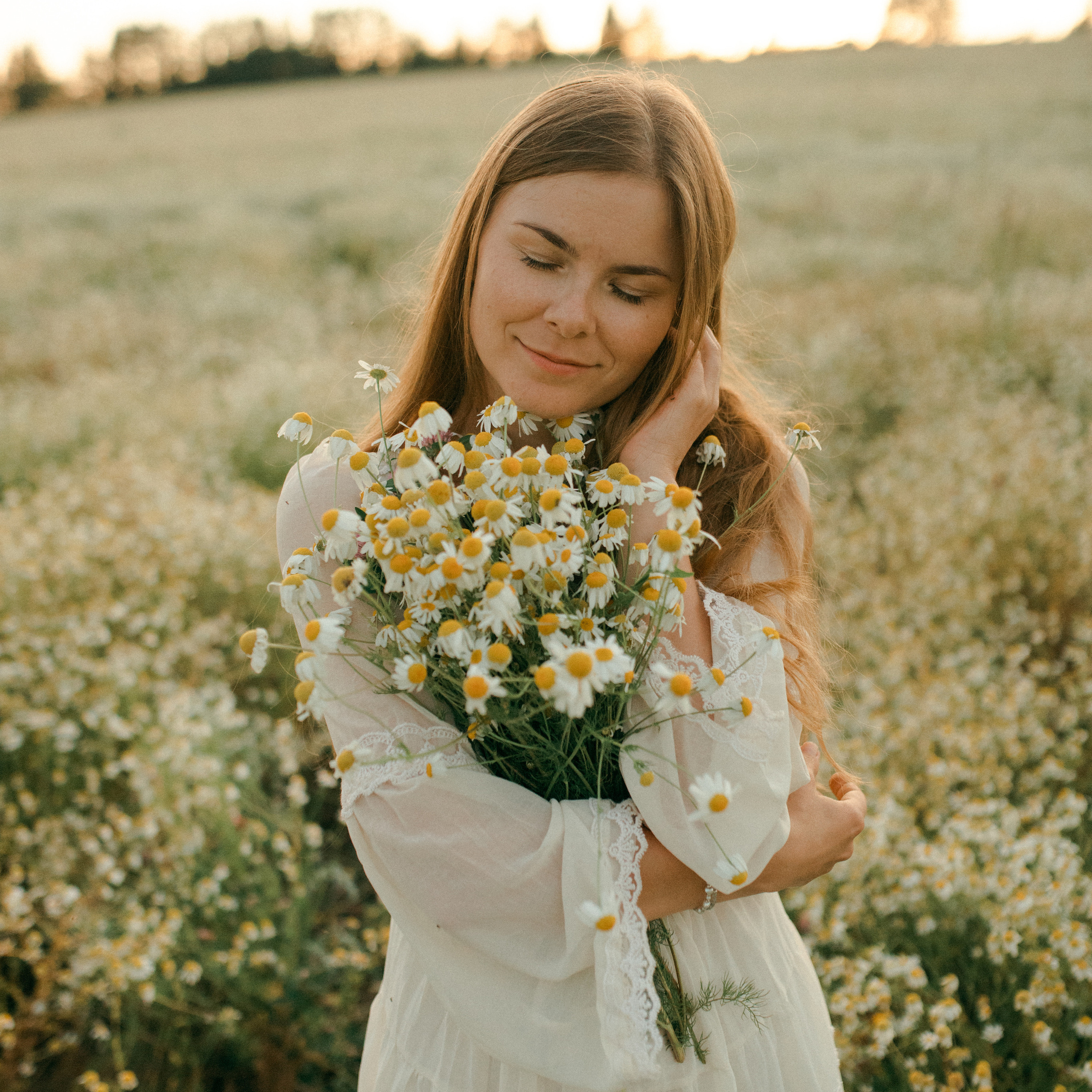 Ромашки. Lapeelapki | ФОТОГРАФИРУЮ СЧАСТЬЕ