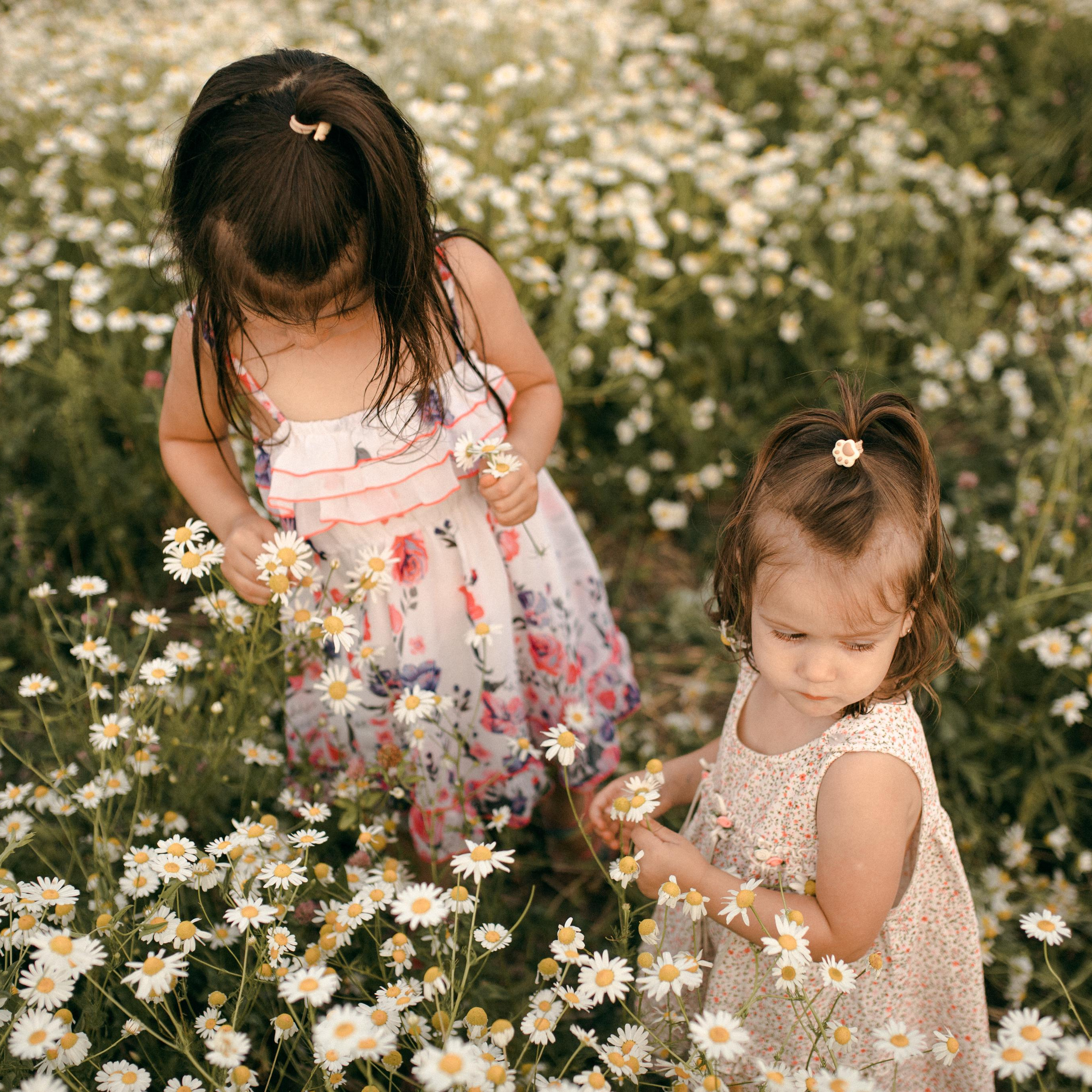 Геворкян. Lapeelapki | ФОТОГРАФИРУЮ СЧАСТЬЕ