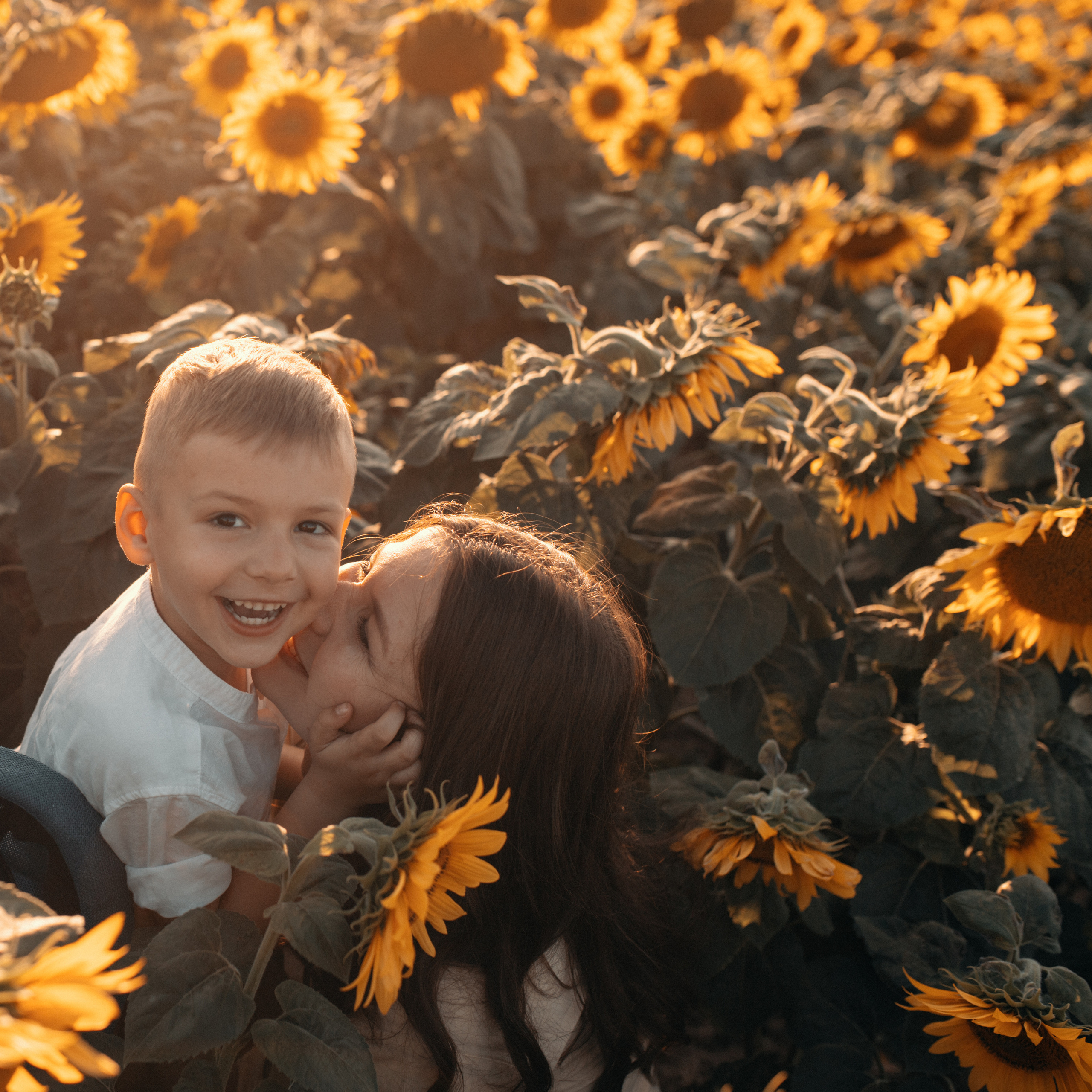 Подсолнухи. Lapeelapki | ФОТОГРАФИРУЮ СЧАСТЬЕ
