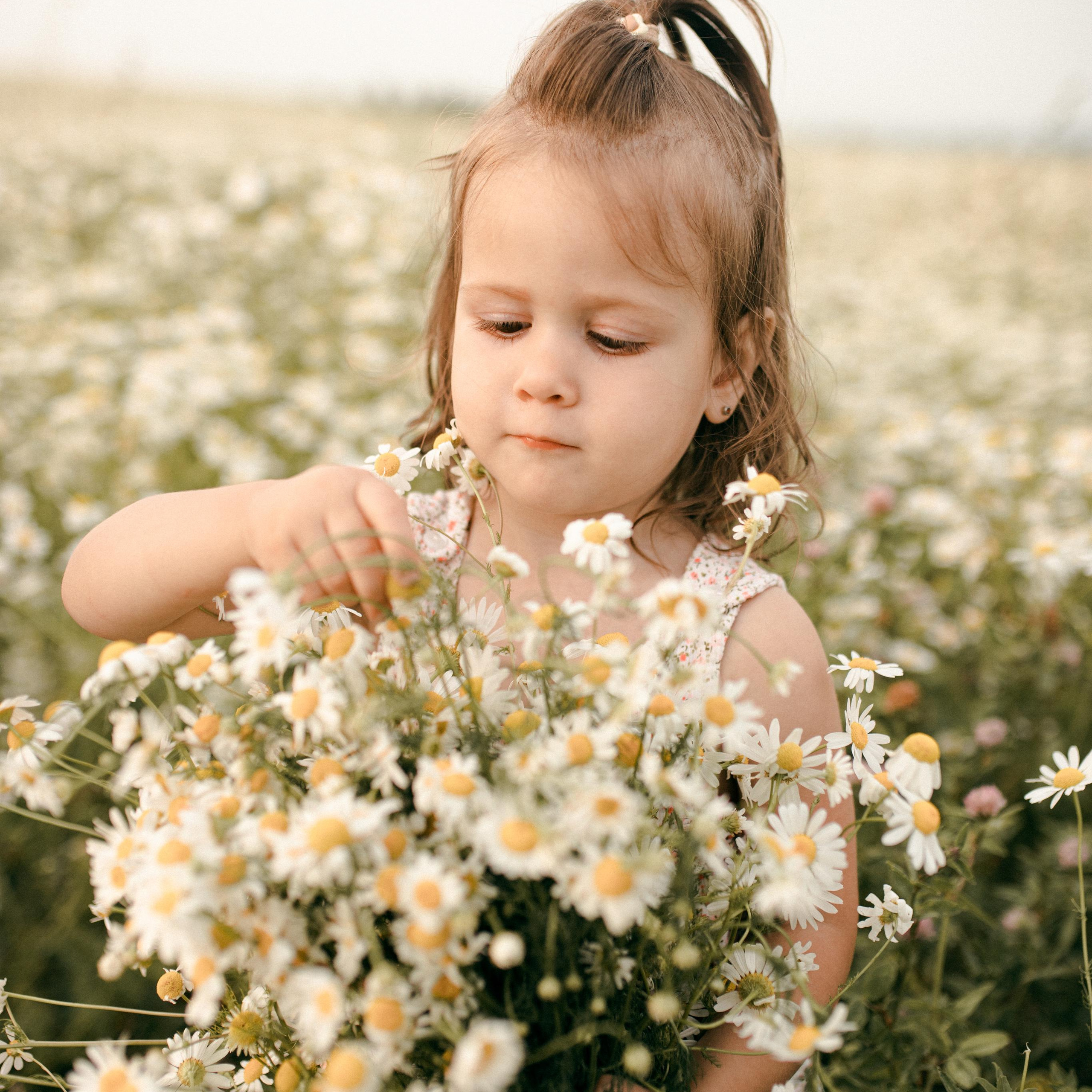 Геворкян. Lapeelapki | ФОТОГРАФИРУЮ СЧАСТЬЕ