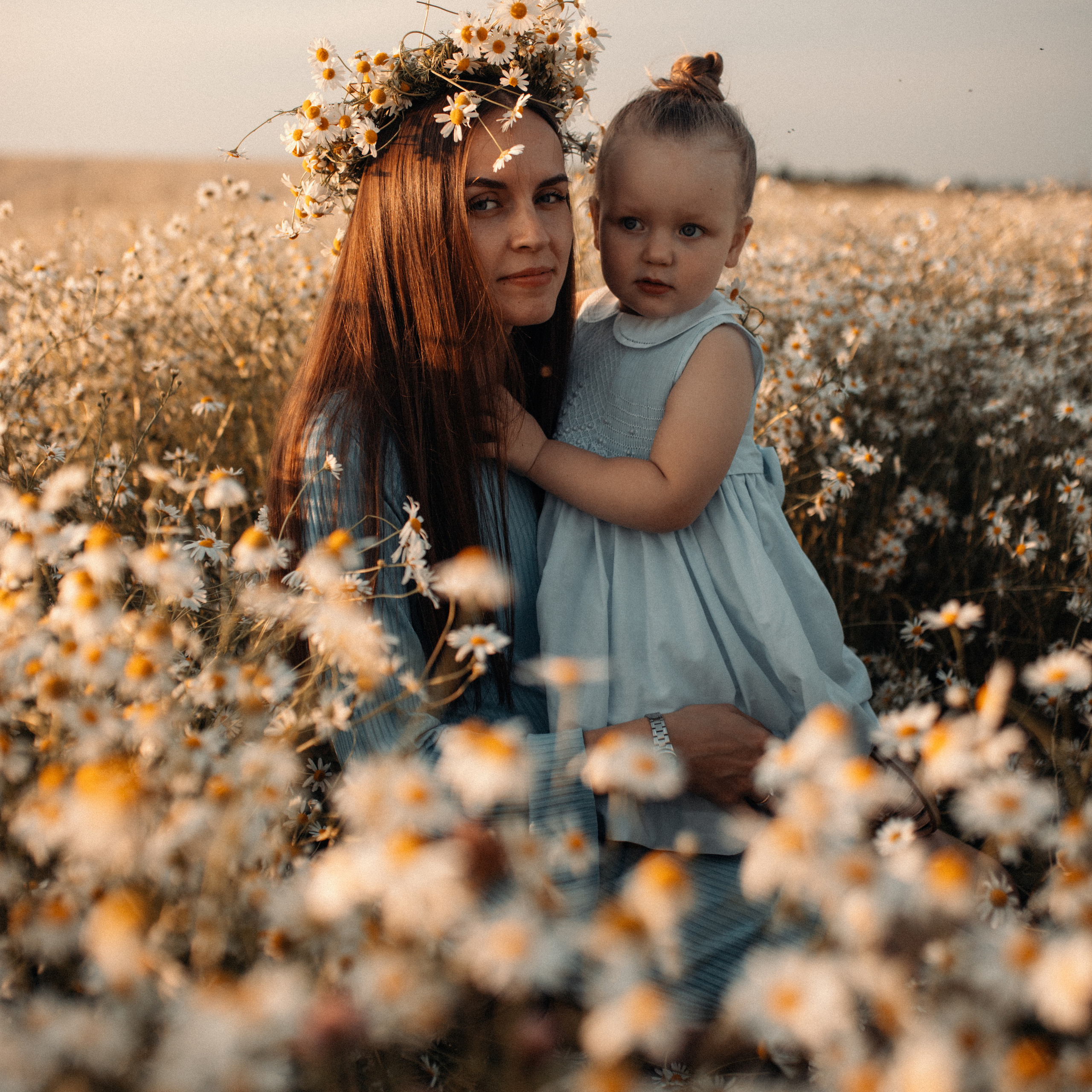 Ромашки. Lapeelapki | ФОТОГРАФИРУЮ СЧАСТЬЕ