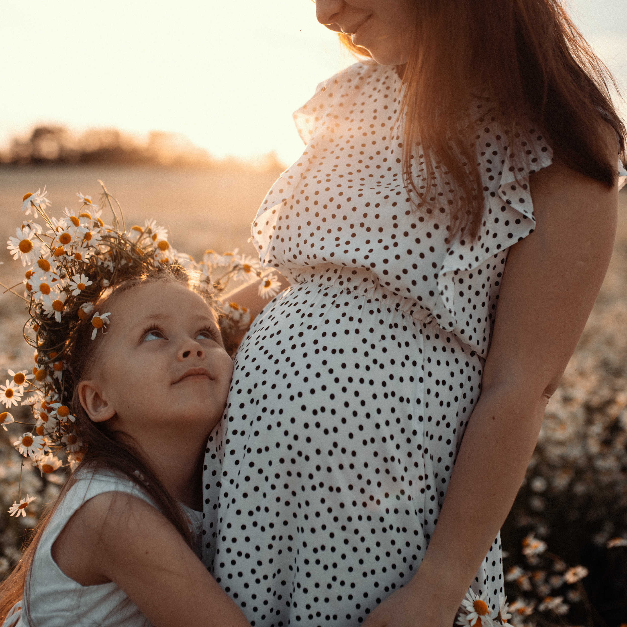 Ромашки. Lapeelapki | ФОТОГРАФИРУЮ СЧАСТЬЕ