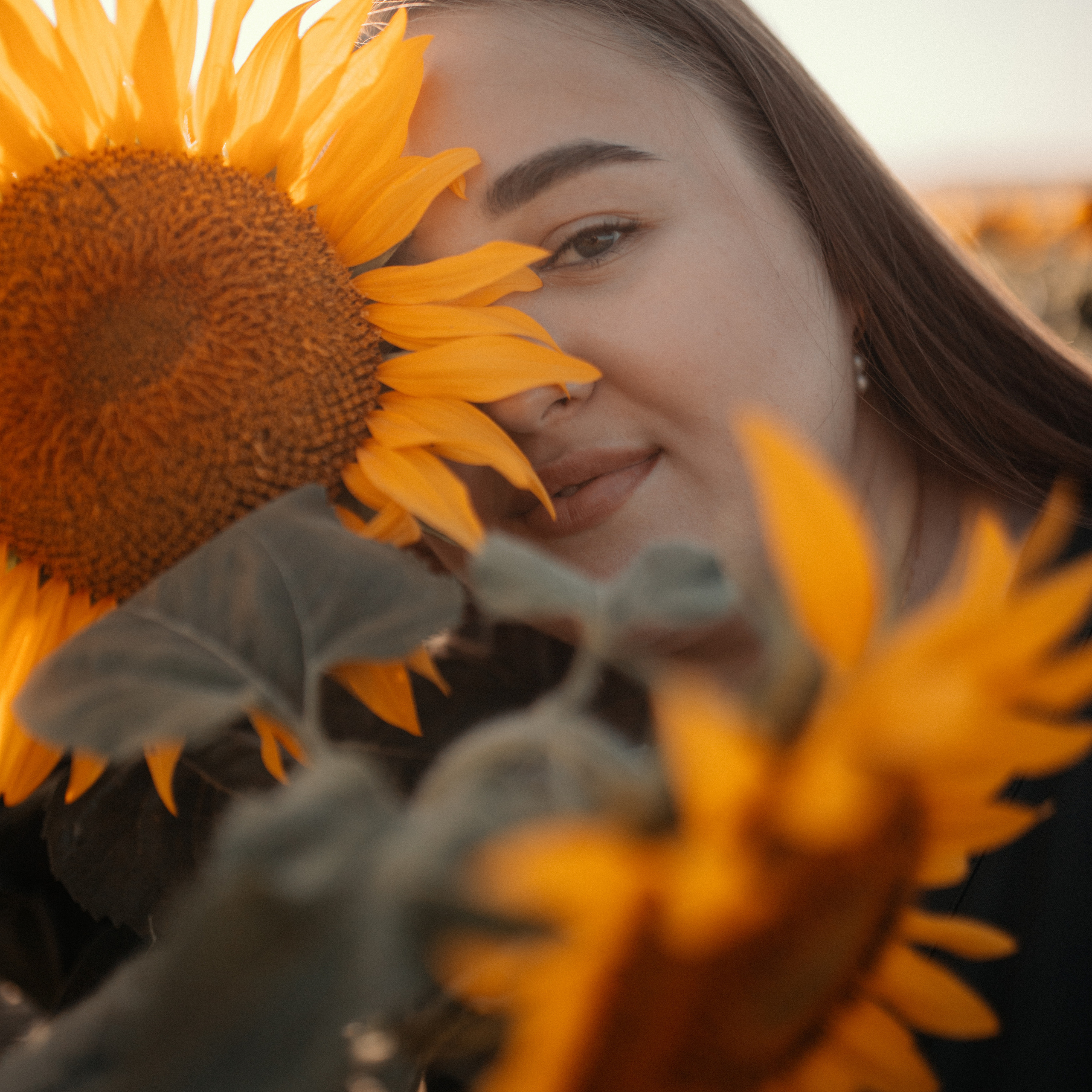 Подсолнухи. Lapeelapki | ФОТОГРАФИРУЮ СЧАСТЬЕ