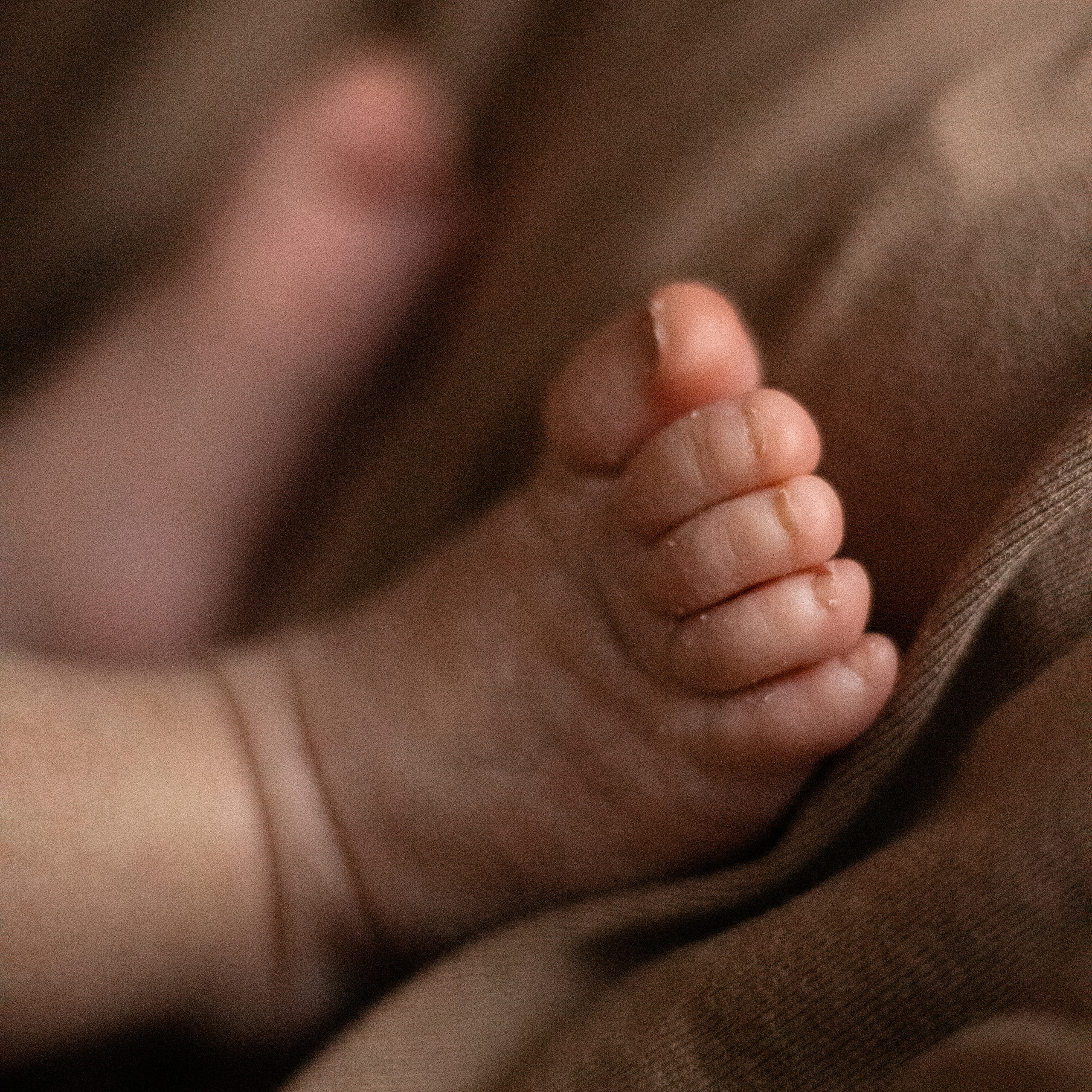 Евангелина. Lapeelapki | ФОТОГРАФИРУЮ СЧАСТЬЕ