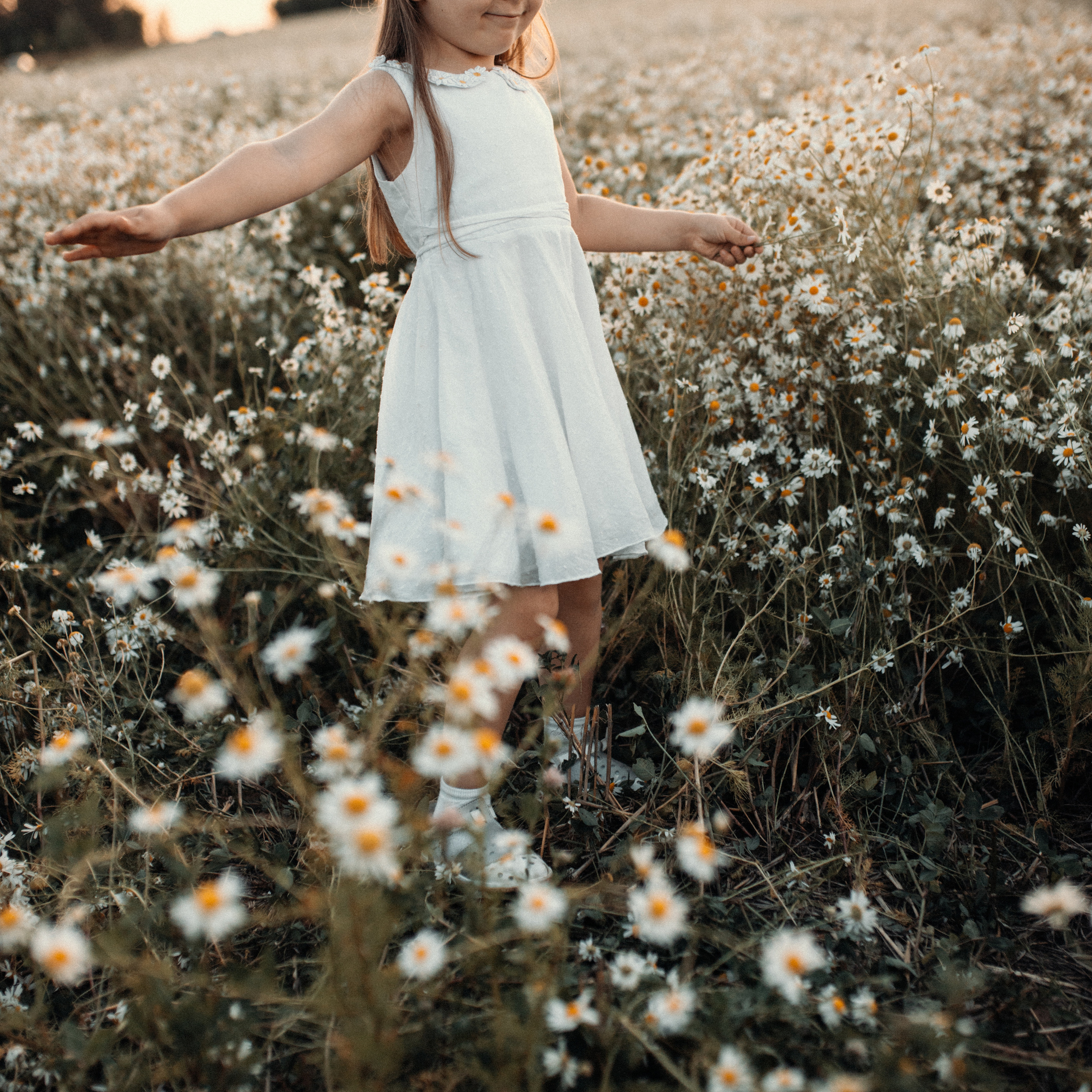 Ромашки. Lapeelapki | ФОТОГРАФИРУЮ СЧАСТЬЕ