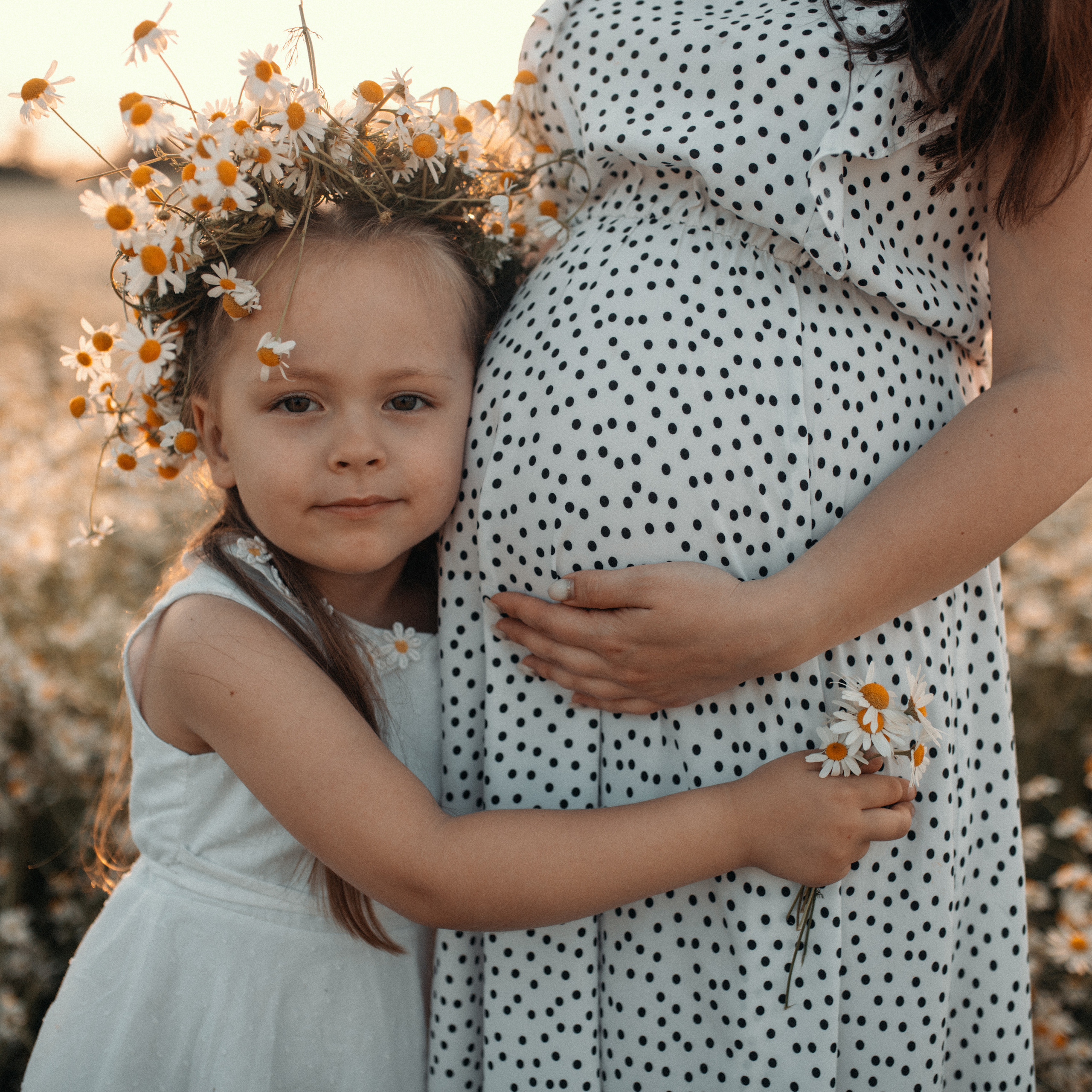 Ромашки. Lapeelapki | ФОТОГРАФИРУЮ СЧАСТЬЕ