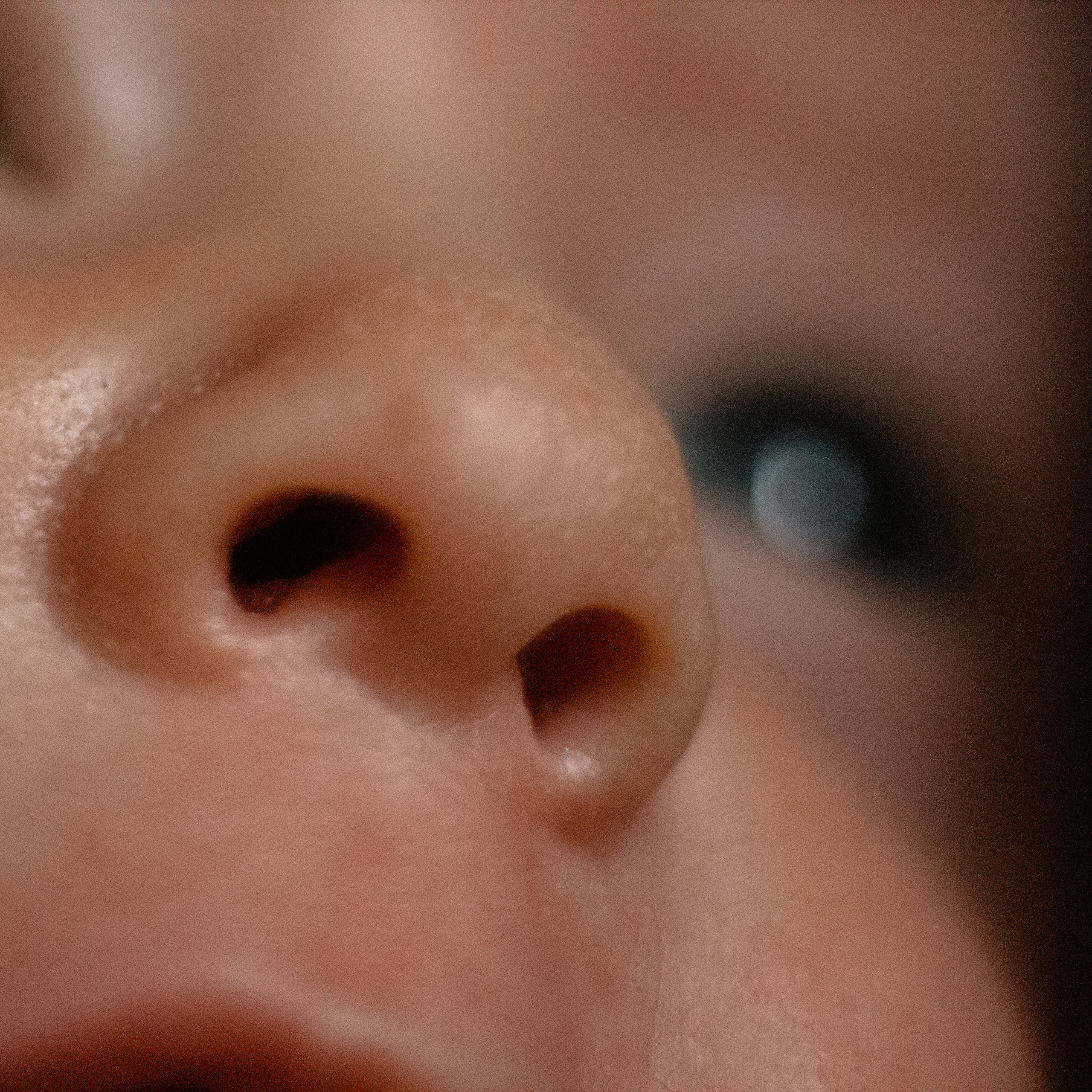 Евангелина. Lapeelapki | ФОТОГРАФИРУЮ СЧАСТЬЕ