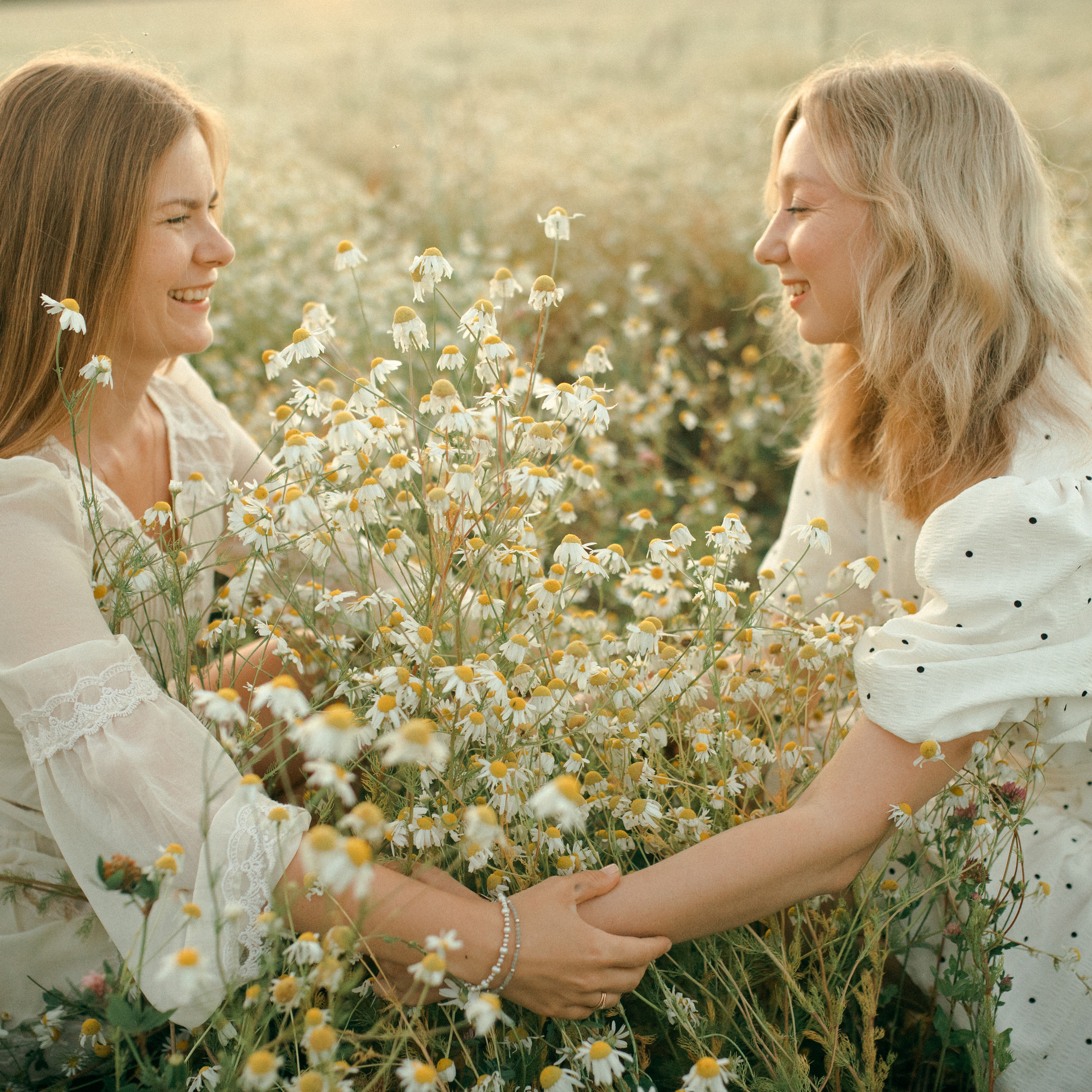 Ромашки. Lapeelapki | ФОТОГРАФИРУЮ СЧАСТЬЕ