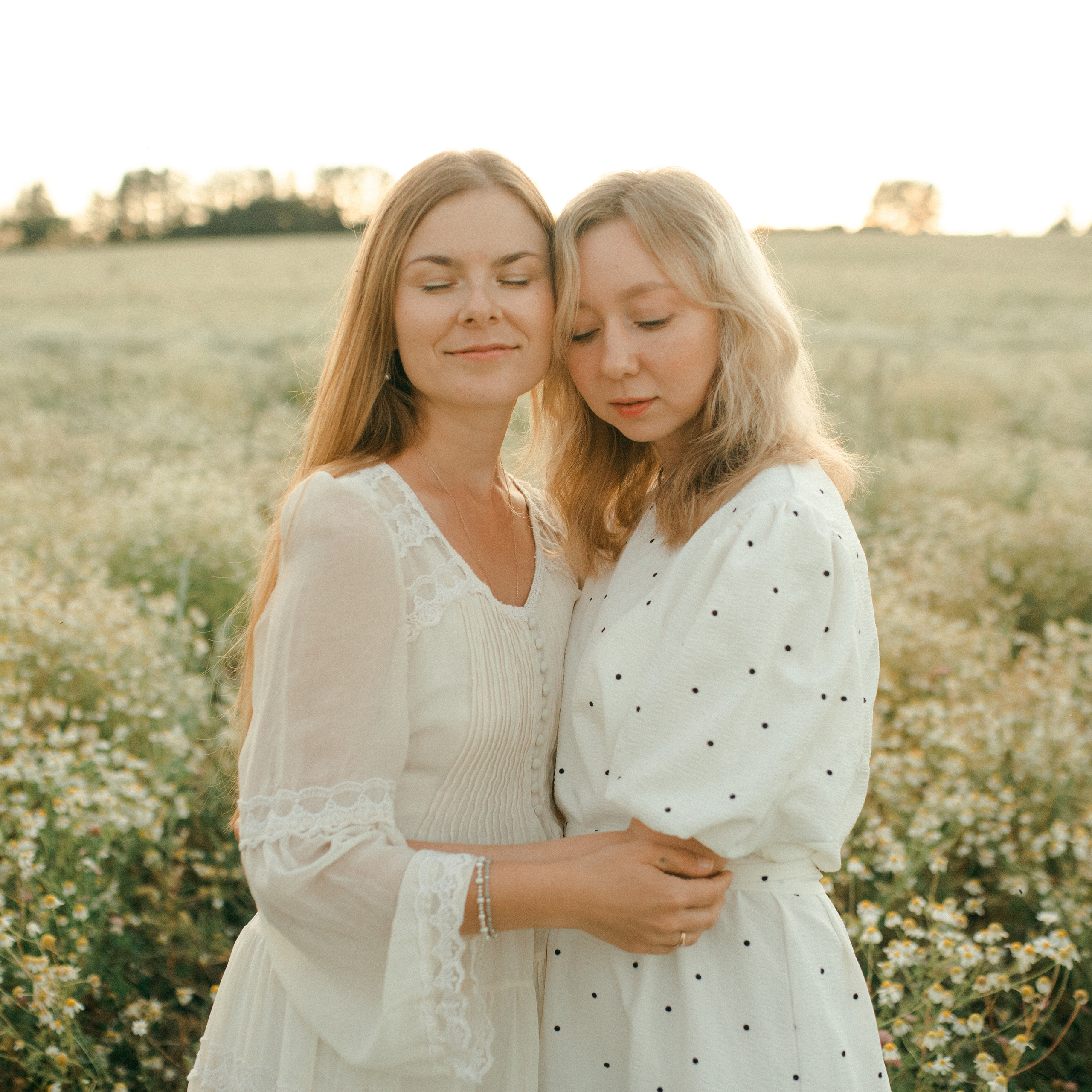 Ромашки. Lapeelapki | ФОТОГРАФИРУЮ СЧАСТЬЕ