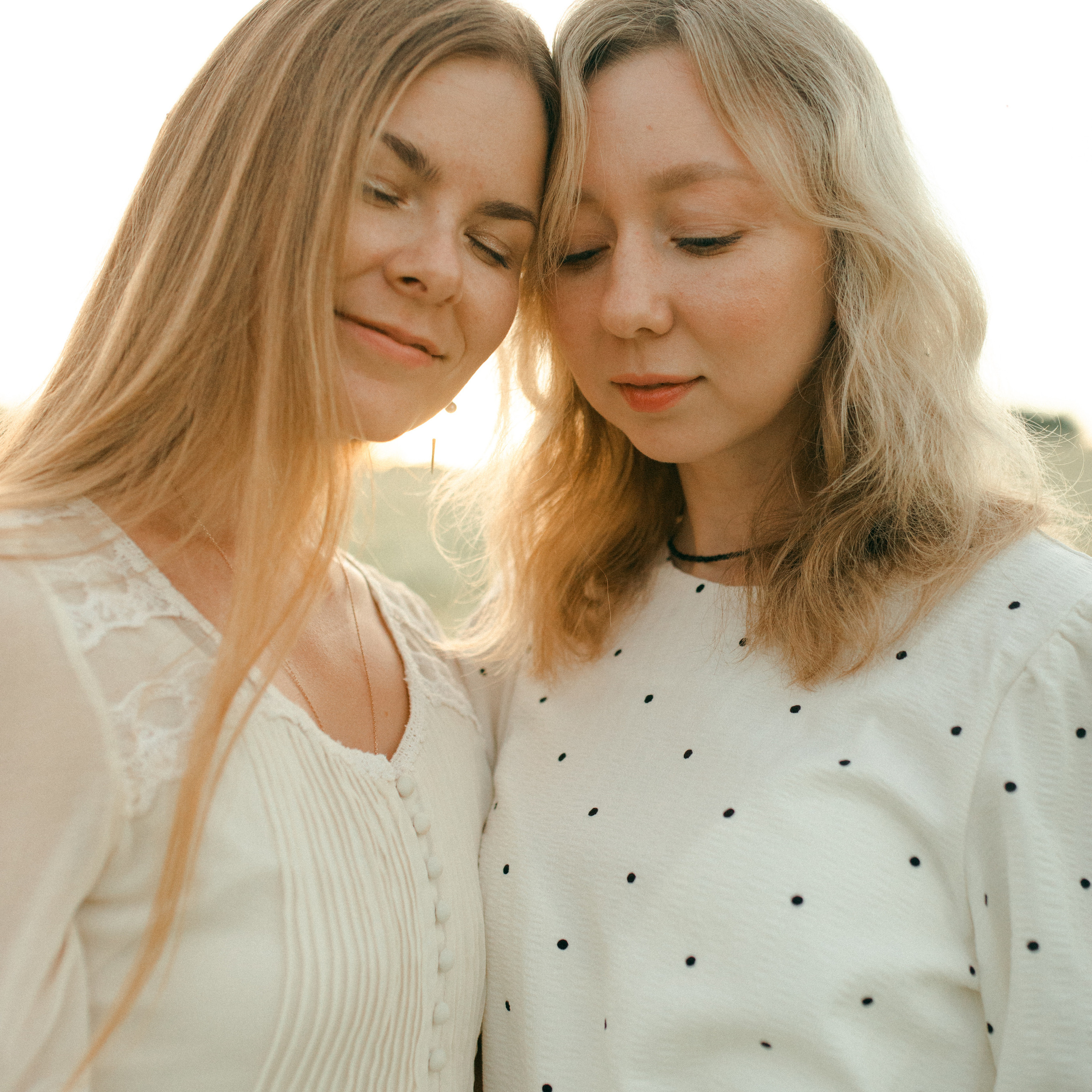 Ромашки. Lapeelapki | ФОТОГРАФИРУЮ СЧАСТЬЕ