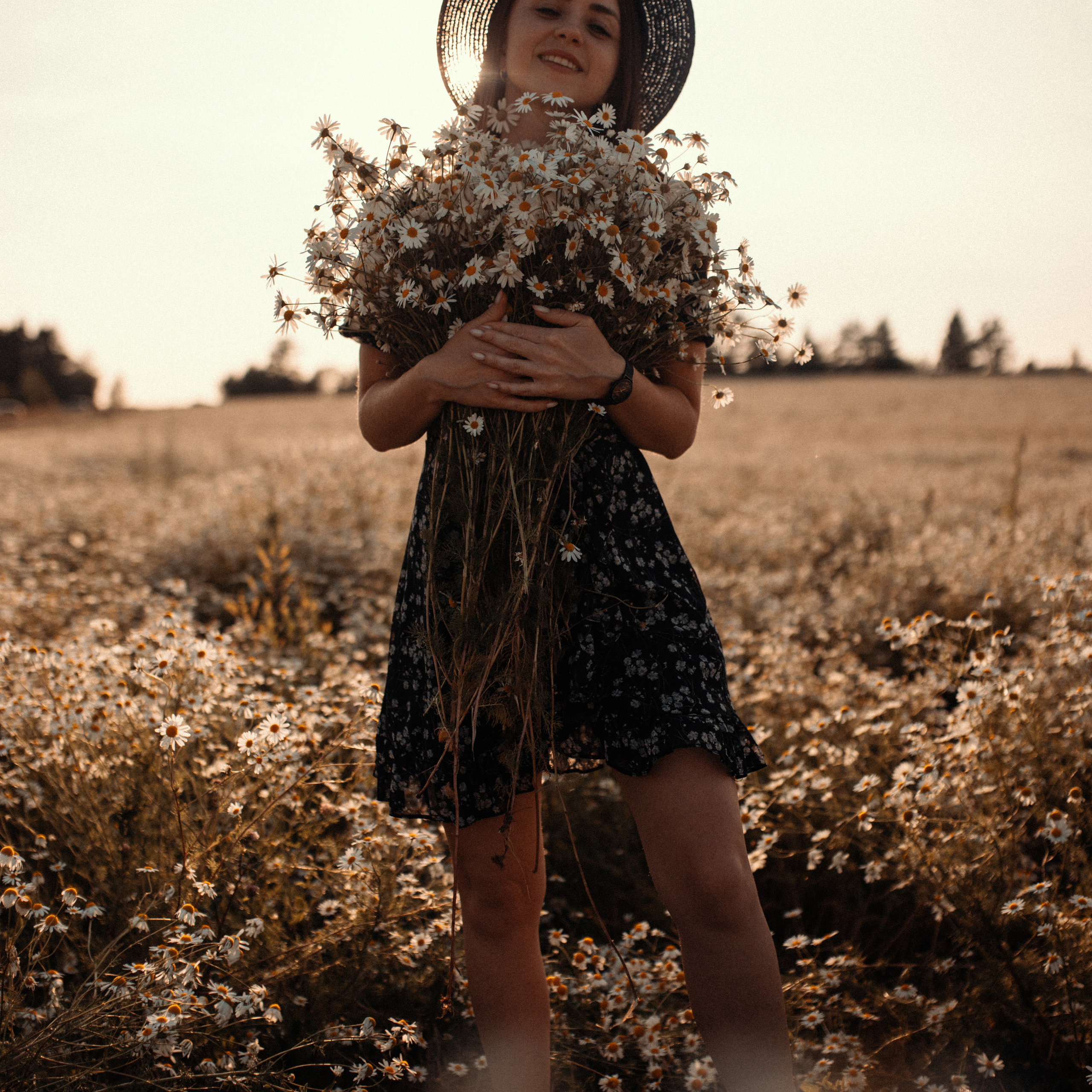 Ромашки. Lapeelapki | ФОТОГРАФИРУЮ СЧАСТЬЕ