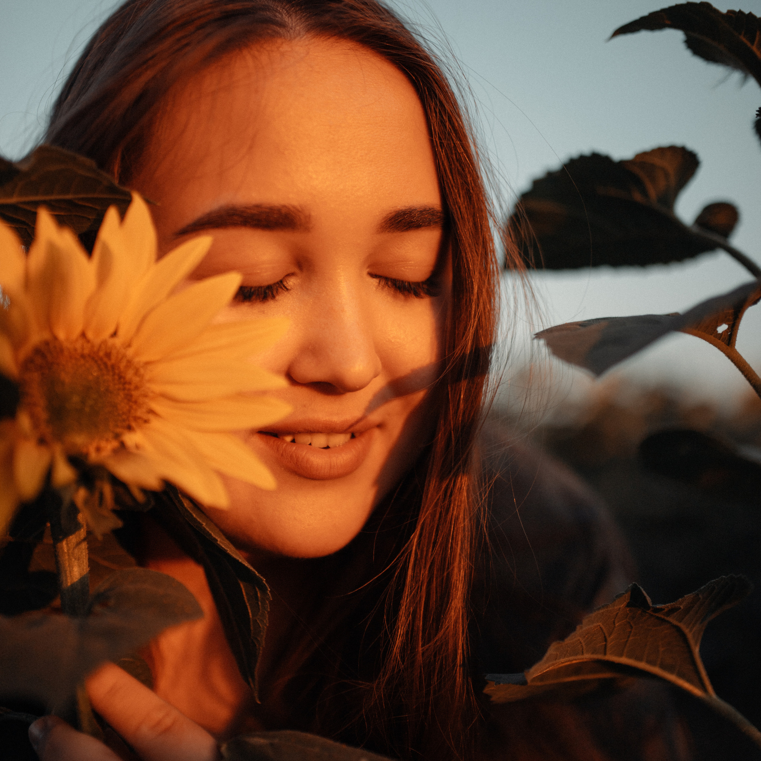 Подсолнухи. Lapeelapki | ФОТОГРАФИРУЮ СЧАСТЬЕ