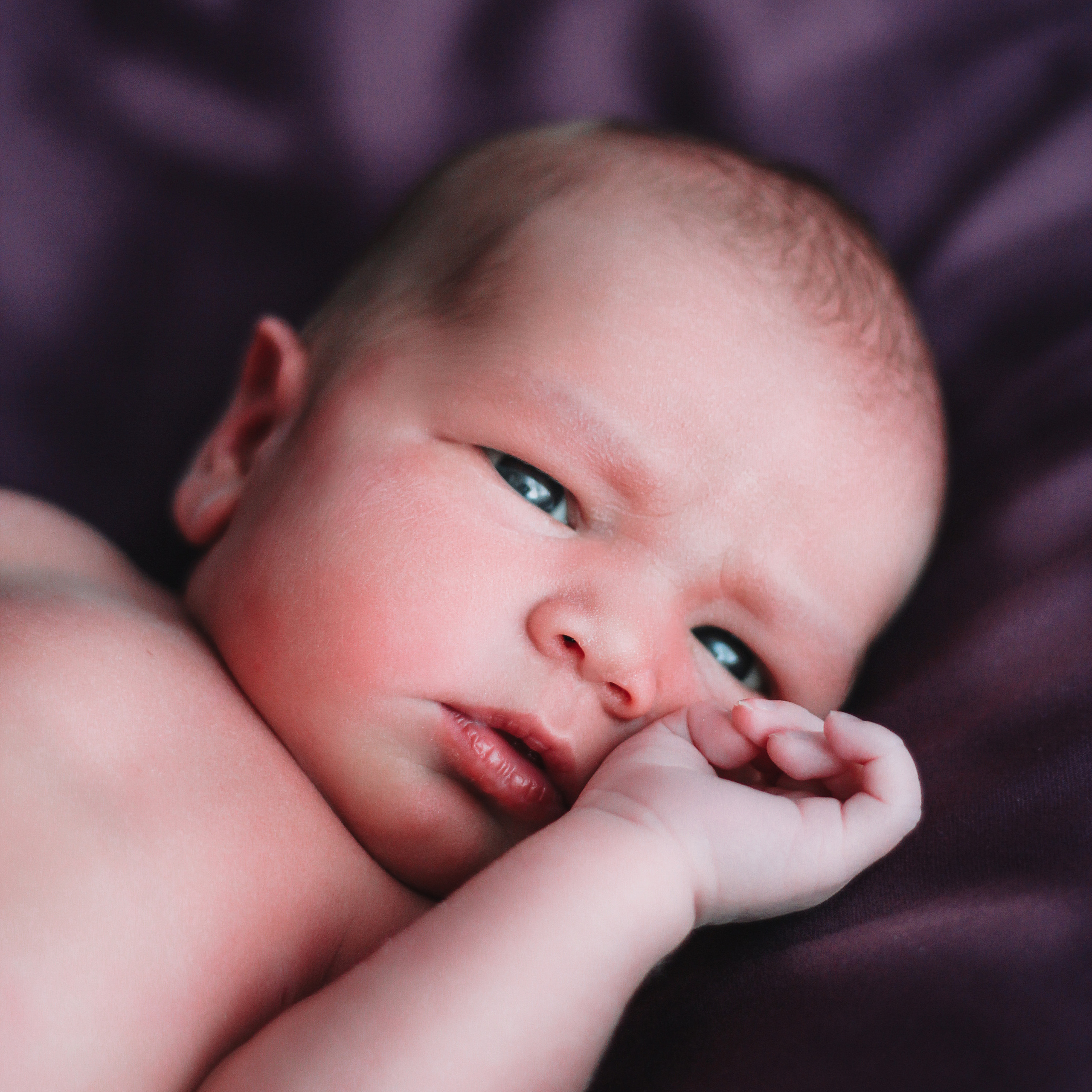 Мия. Lapeelapki | ФОТОГРАФИРУЮ СЧАСТЬЕ