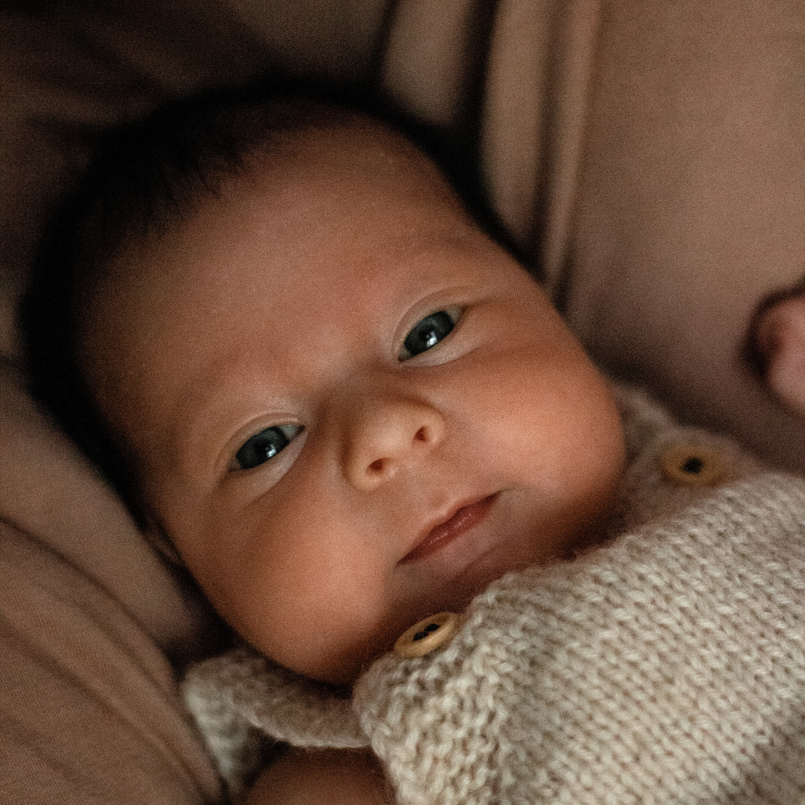 Евангелина. Lapeelapki | ФОТОГРАФИРУЮ СЧАСТЬЕ