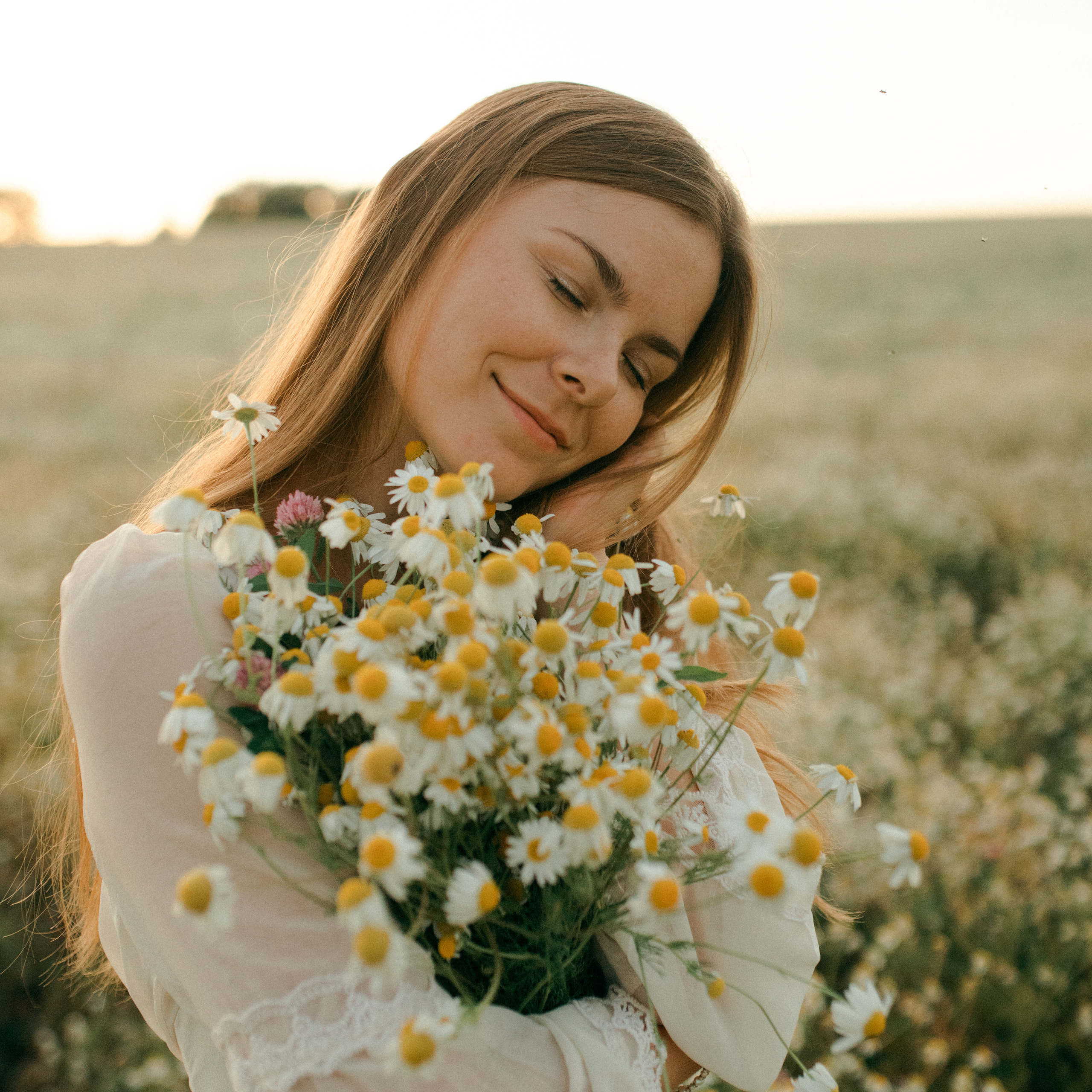 Ромашки. Lapeelapki | ФОТОГРАФИРУЮ СЧАСТЬЕ