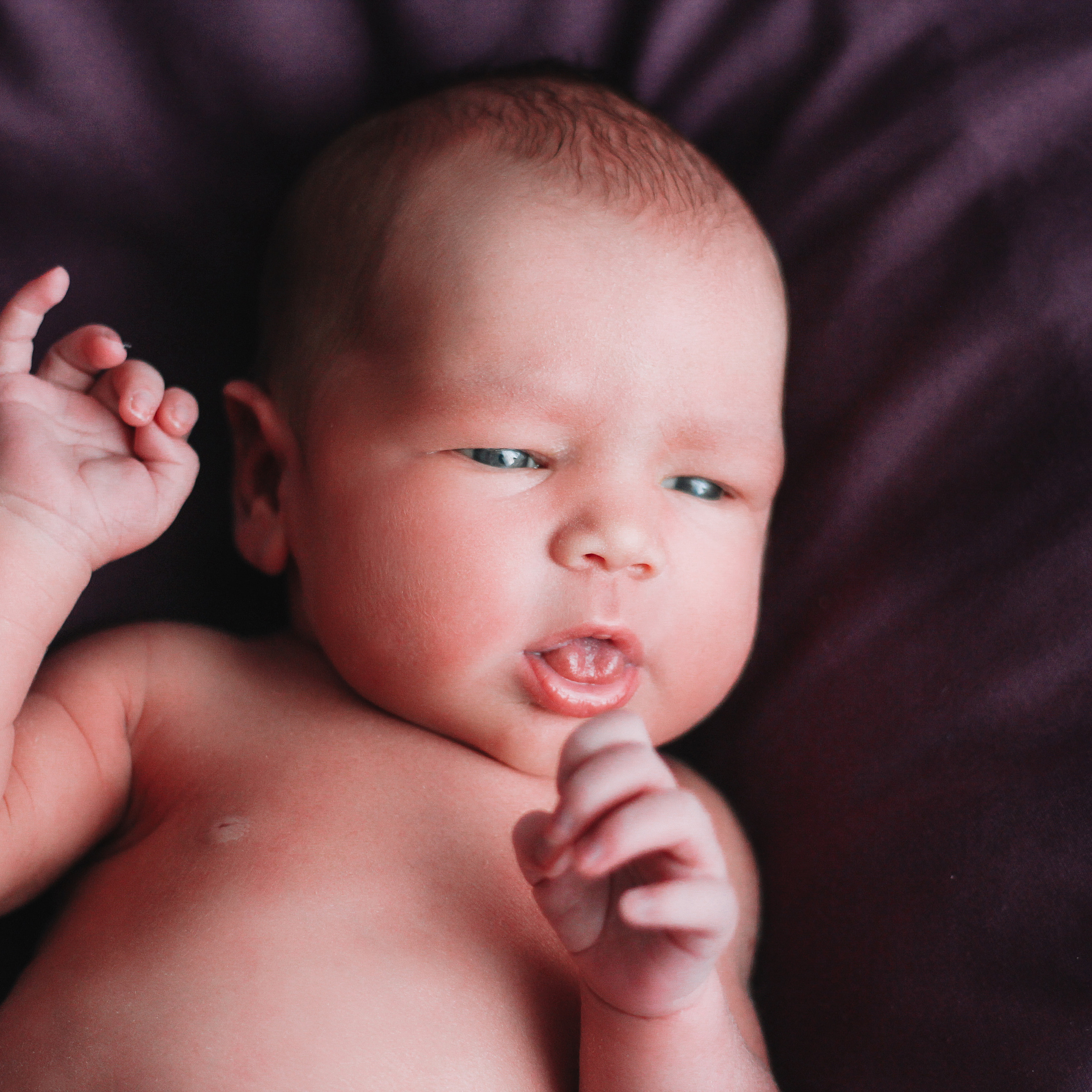 Мия. Lapeelapki | ФОТОГРАФИРУЮ СЧАСТЬЕ