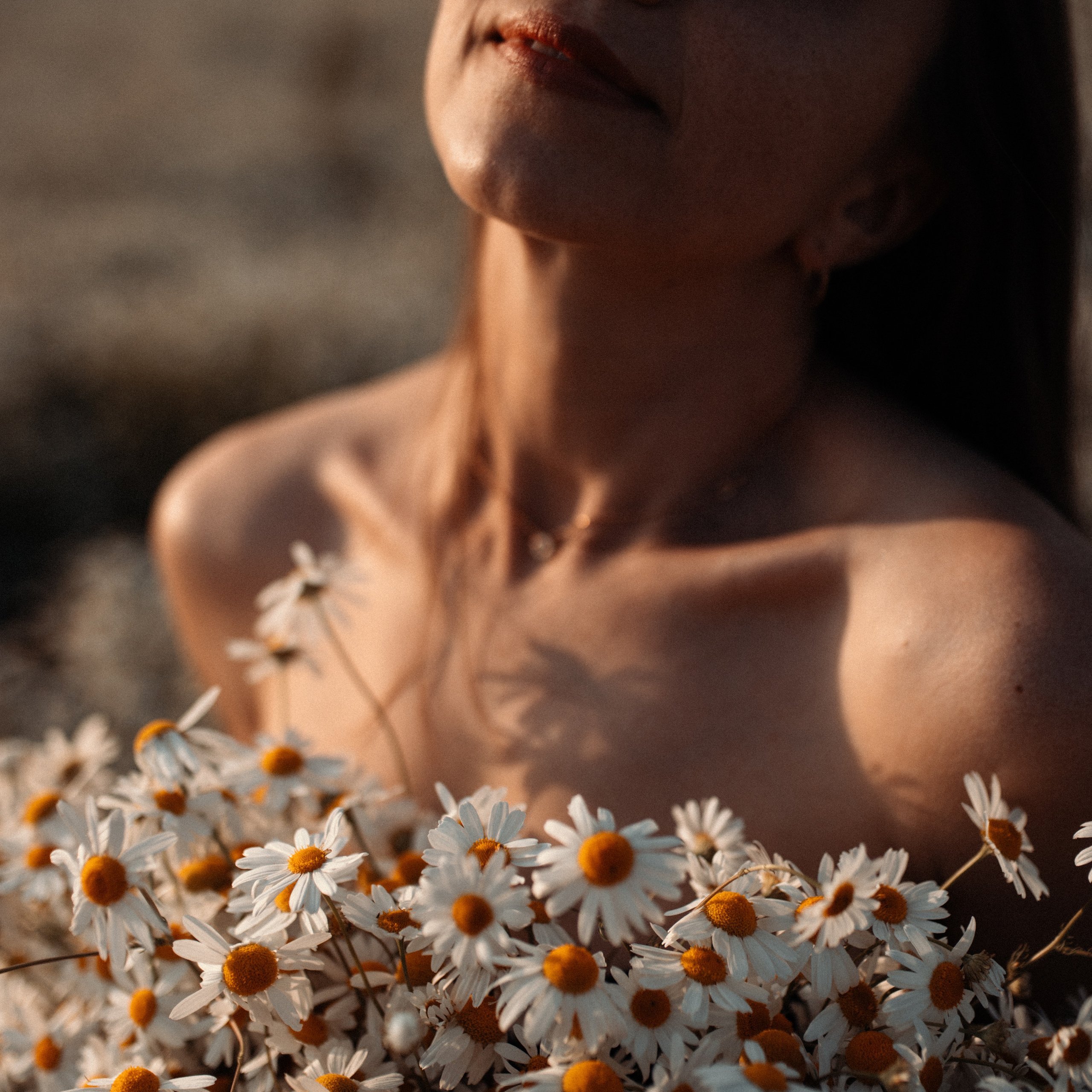 Ромашки. Lapeelapki | ФОТОГРАФИРУЮ СЧАСТЬЕ