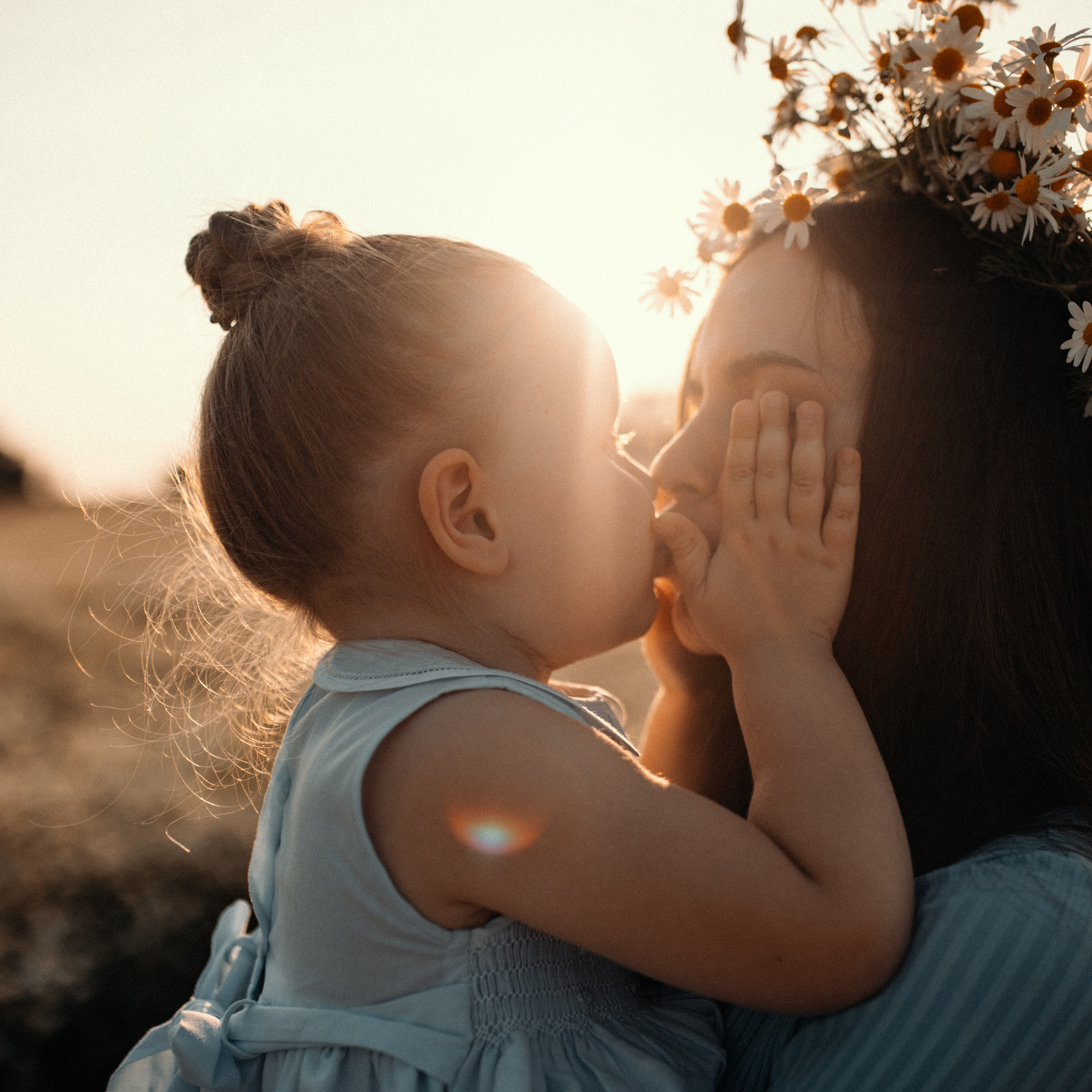 Ромашки. Lapeelapki | ФОТОГРАФИРУЮ СЧАСТЬЕ